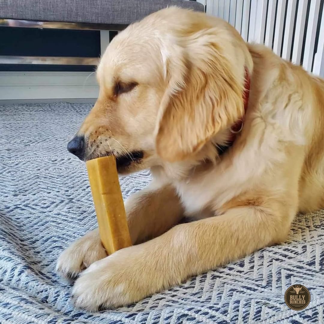 Bully Bunches Large Authentic Yak Cheese Himalayan Chews for Large Dogs & Heavy Chewers - All Natural Dog Treat Dental Chews, Ma