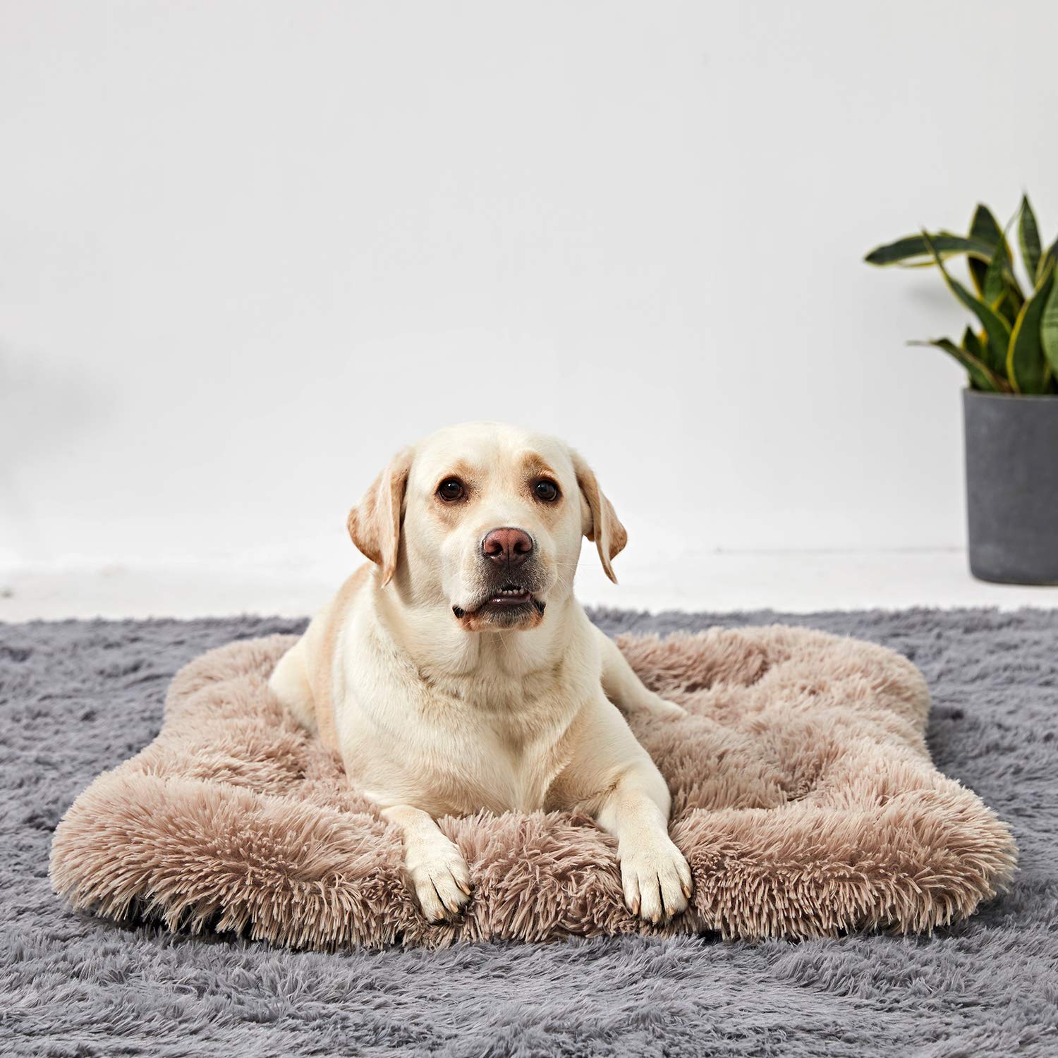 Dog Bed Large Size Dogs, Washable Dog Crate Bed Cushion, Dog Crate Pad Large Dogs 36 Inch