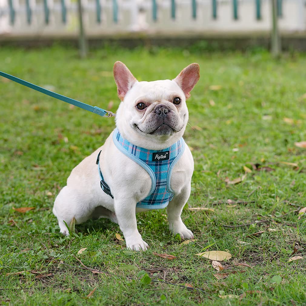 Pupteck Soft Mesh Dog Harness And Leash Set Pet Puppy Cat Comfort Padded Vest No Pull Harnesses, Light Blue, L