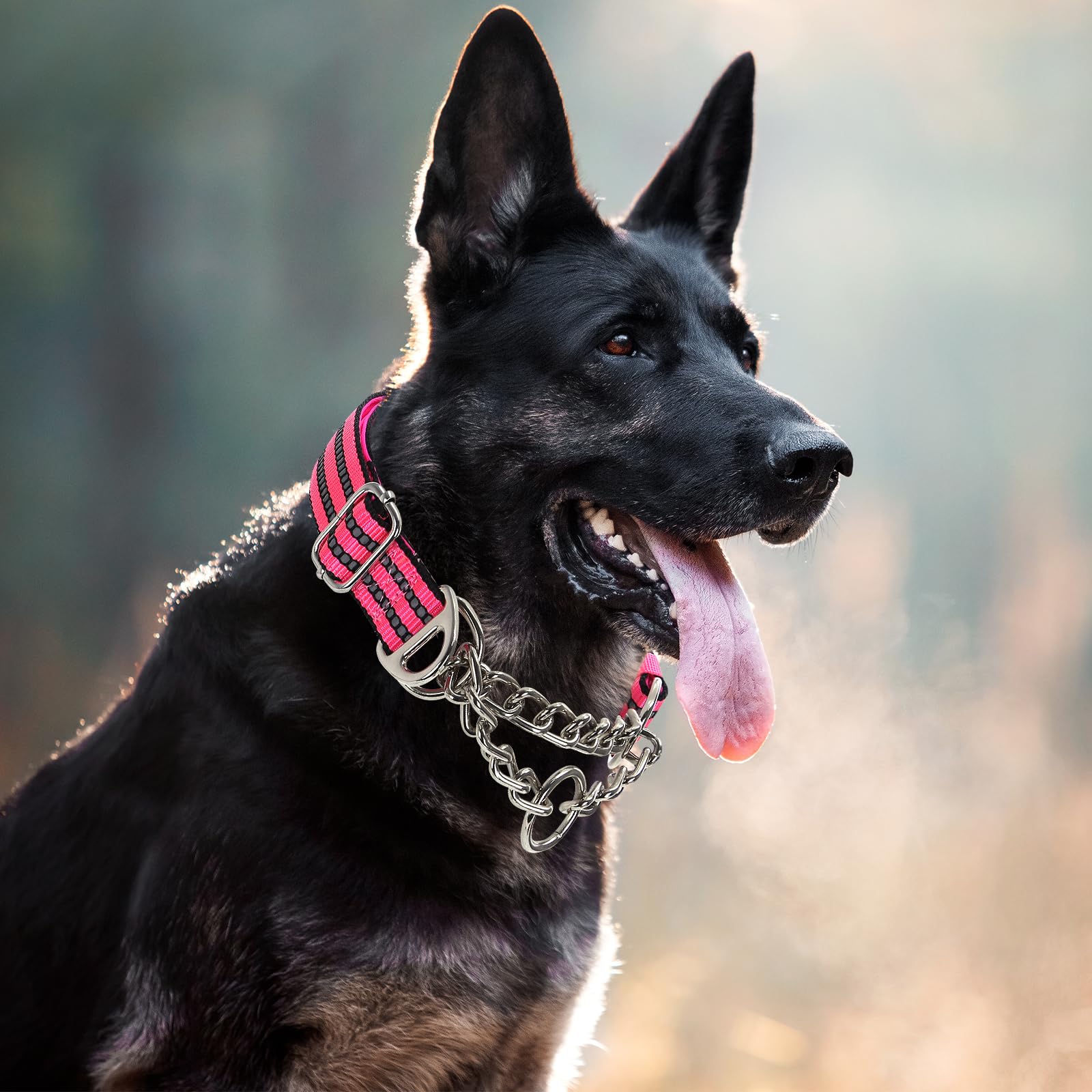 Martingale Collar For Large Dogs,Pink Reflective Collar With Night Safety Design For Large/Medium Xl Xxl Female Dogs Secure Pet