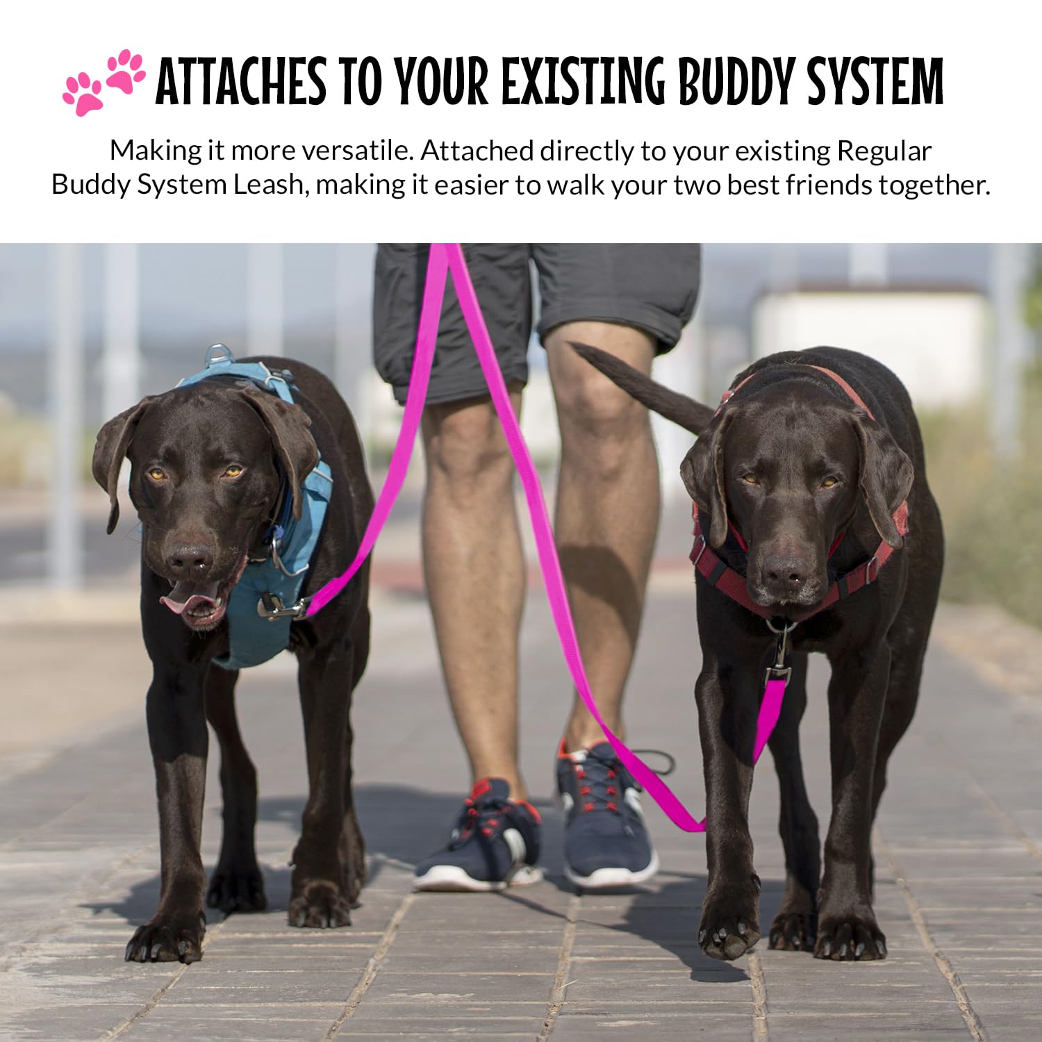 The Buddy System Double Buddy Regular Pink