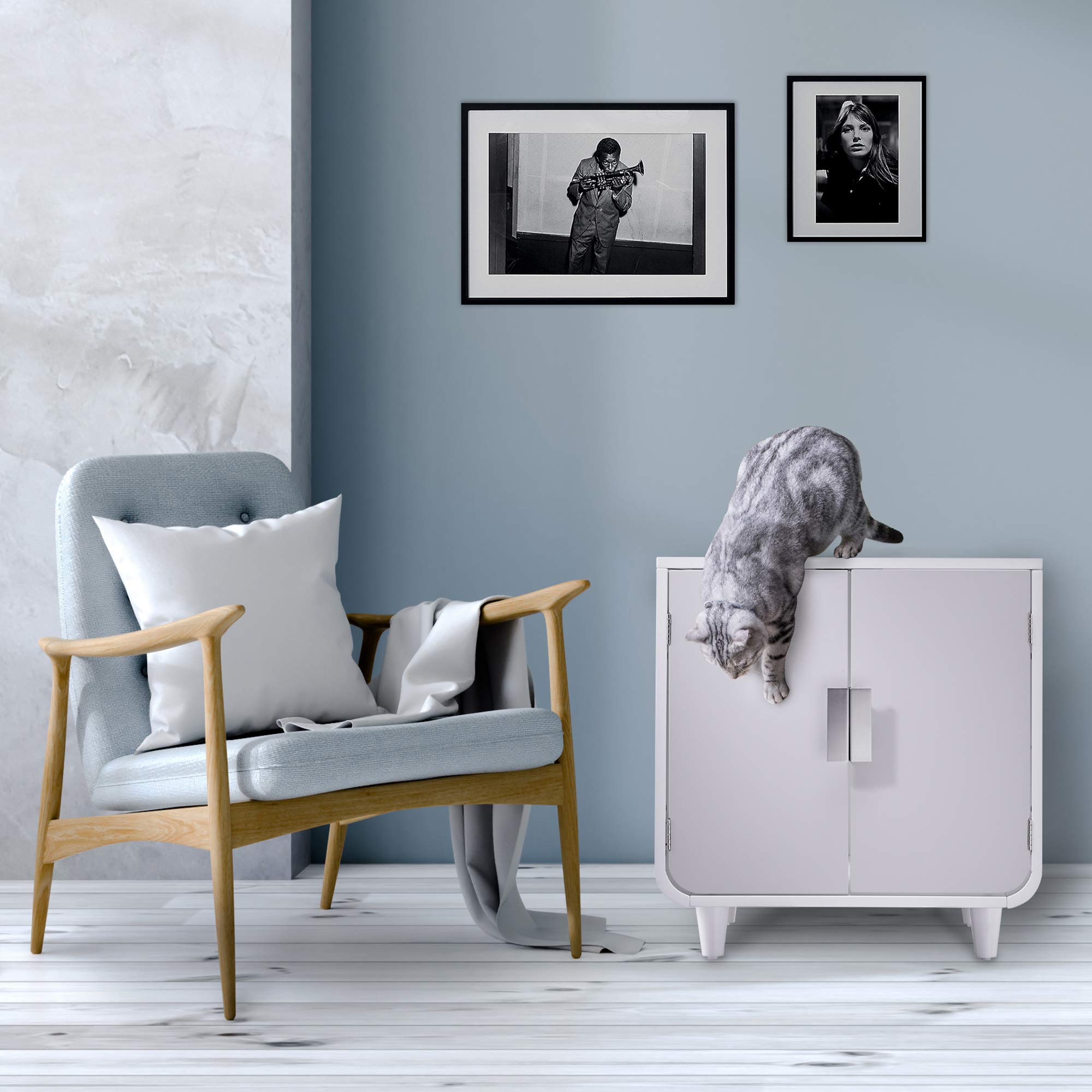 Teamson Pets Staart Dyad Cat Litter Box Enclosure - Solid Wood, Alpine White, One Size, Model ST-K100020