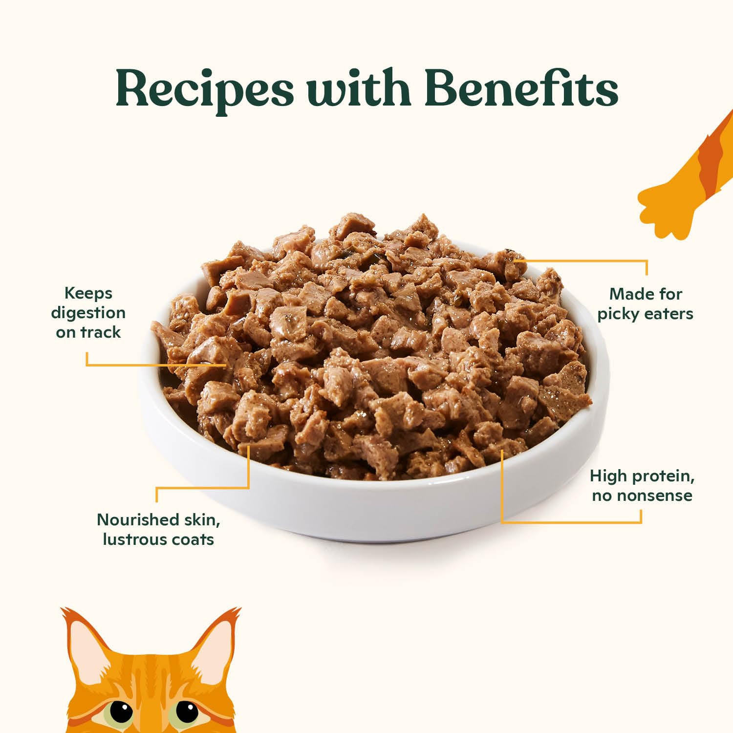 Made by Nacho Premium Minced Wet Canned Cat Food with Hydrating Bone Broth 5.5oz (12 Packs) (Variety Pack (Turkey & Turkey Liver