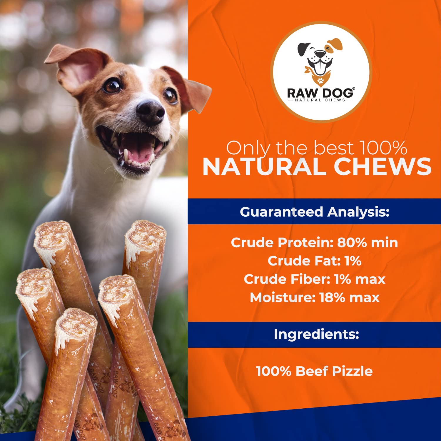 Raw Dog Bully Sticks All-Natural Dog Treats, 6IN Regular Size, 7pk - Premium Odor Free Dog Chews, 100% Beef, Grass Fed, Non-GMO