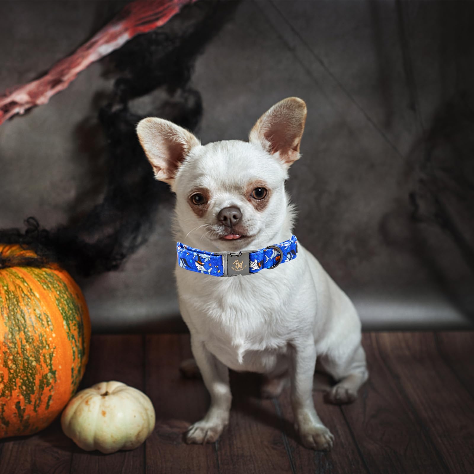 Elegant Little Tail Shark Print Halloween Pet Collar - Cotton With Metal Buckle, Adjustable For Small Dogs