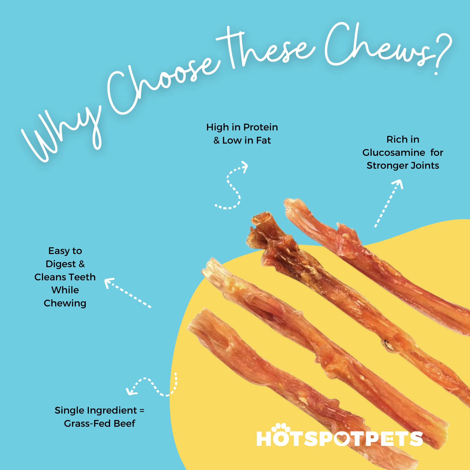 hotspot pets Beef Tendon Chews for Dogs - 8 Inch All Natural, Free-Range, Grass-Fed Premium USDA Gambrol Beef Tendon Stick Treat