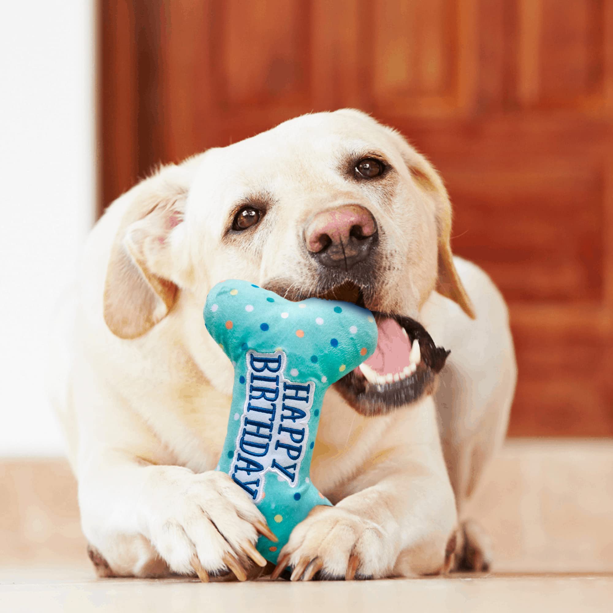 Primepets Dog Birthday Toys, Plush Dog Squeaky Toys, Dog Birthday Party Supplies, Stuffed Dog Chew Toys For Small Medium Large Dogs (Bone)