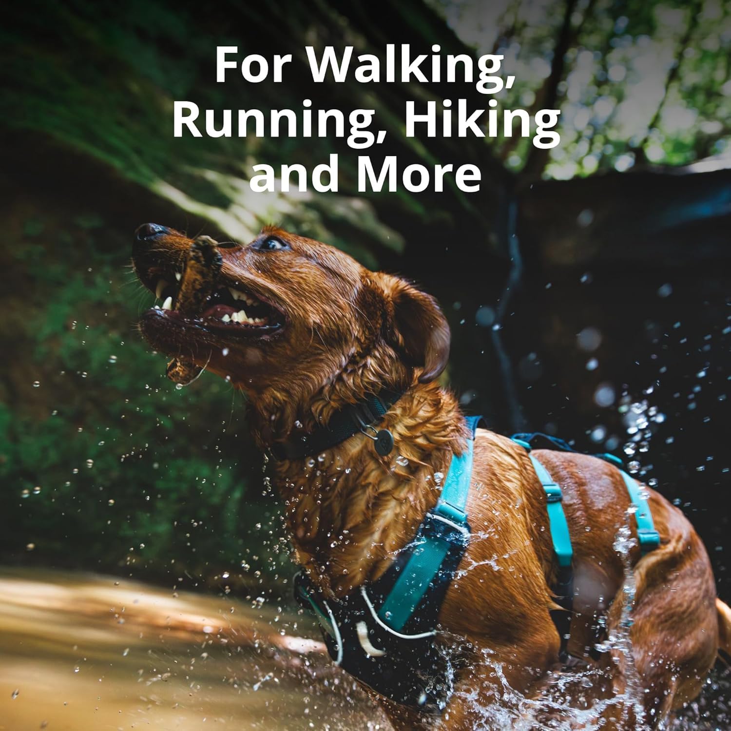 Ruffwear, Flagline Dog Harness, Lightweight And Reflective, No Pull Dog Lift Harness For Hiking, Running And Everyday Use, Liche
