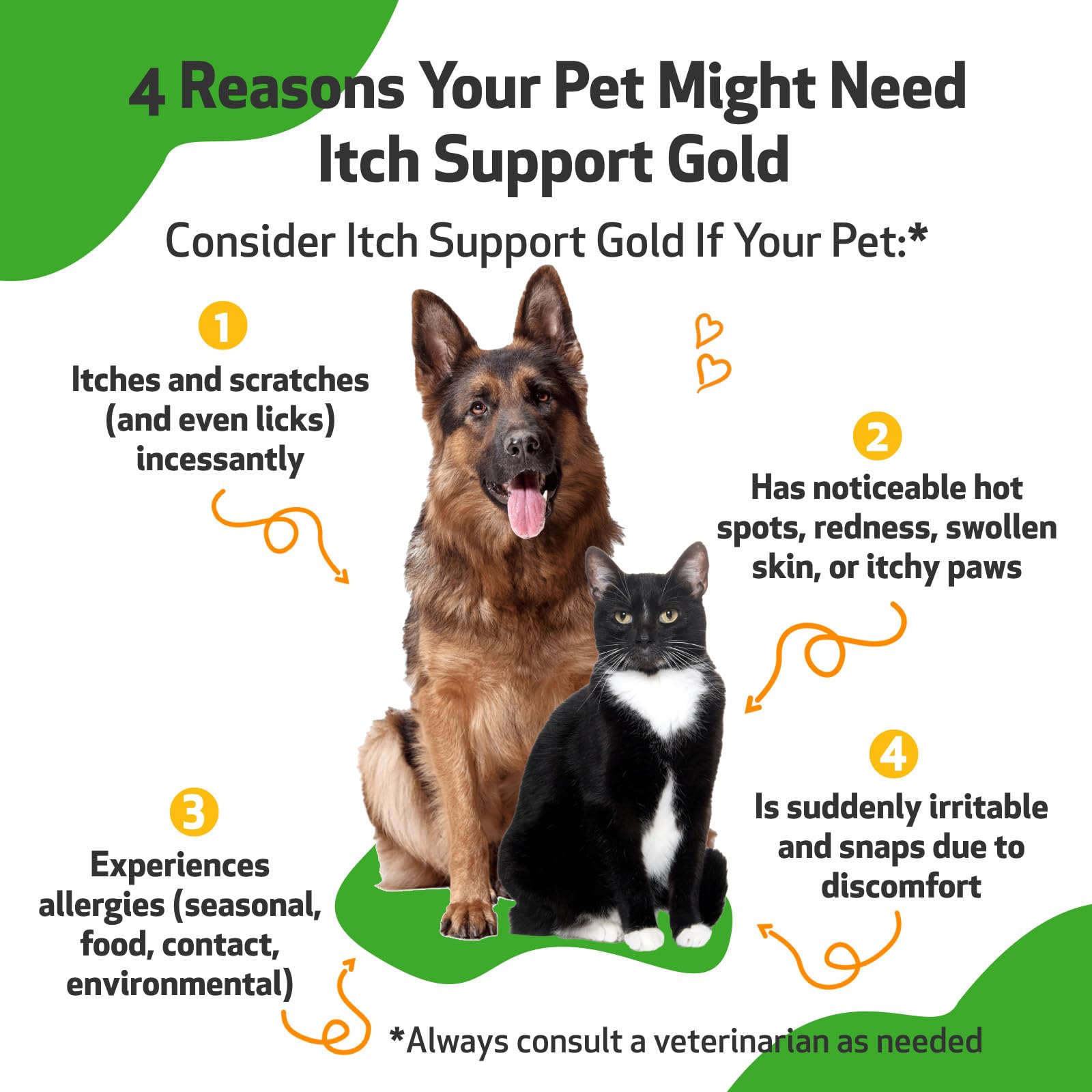 Pet Wellbeing Itch Support Gold for Dogs - Occasional Itching, Scratching, and Hot Spots, Environmental and Seasonal Allergies -