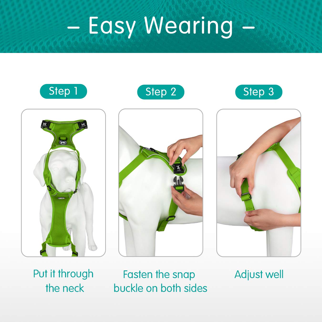 Poypet Reflective Soft Breathable Mesh Dog Harness Choke-Free Double Padded Vest With Adjustable Neck And Chest(Mint Green,S)