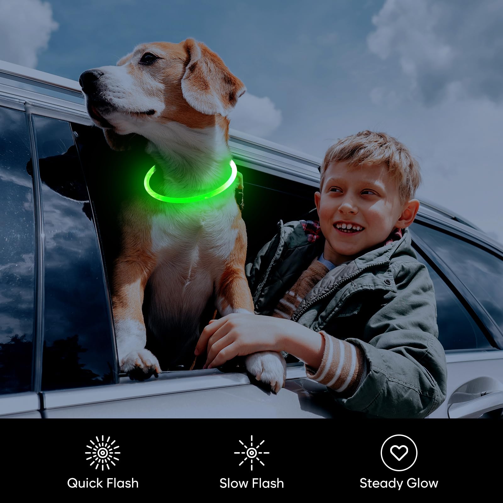 Higuard Led Dog Collar Usb Rechargeable Glowing Pet Collars Lighted Up Safety Necklace Glow In The Dark For You & Your Dogs (Gre