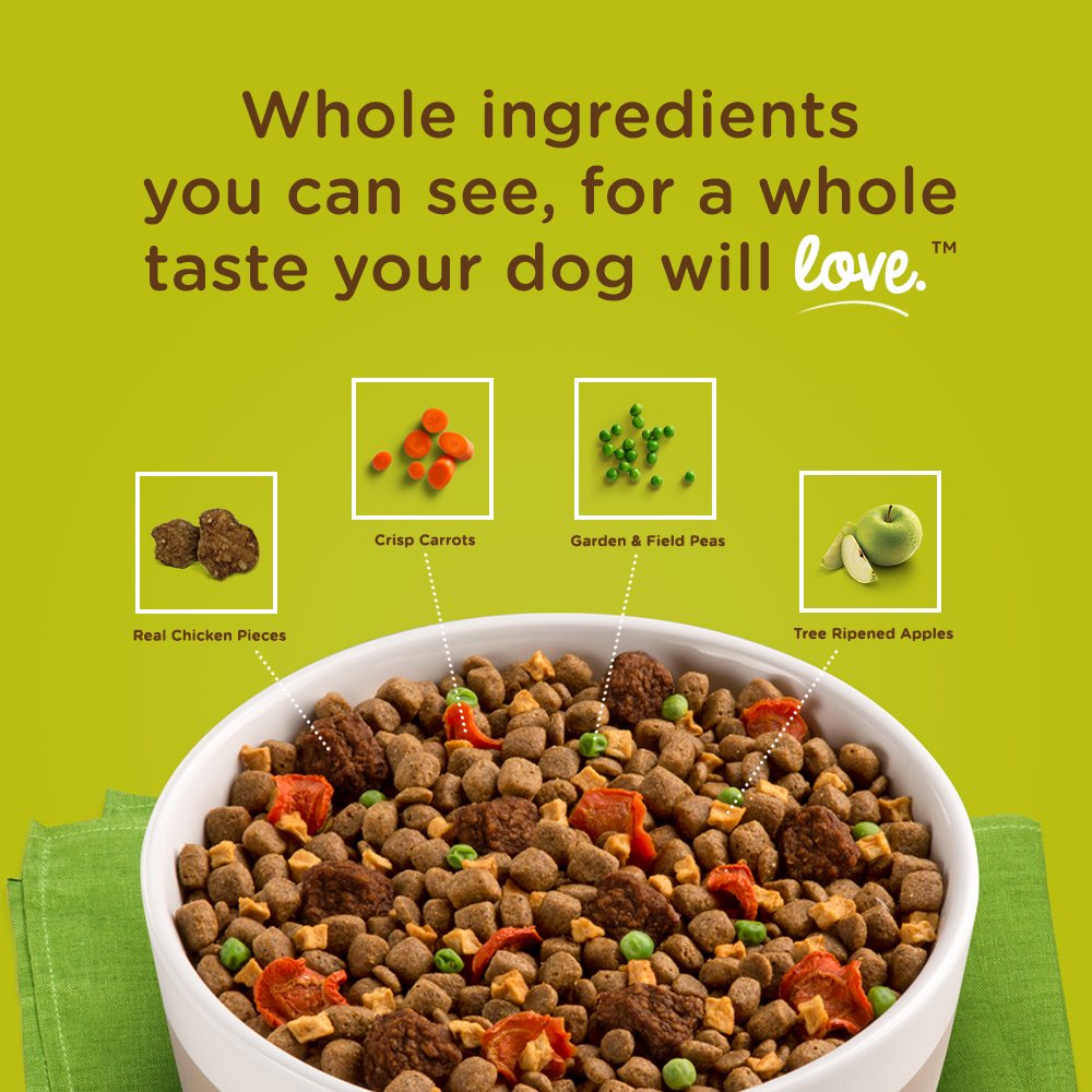 Nutrish Rachael Ray Dish Premium Natural Dry Dog Food, Beef & Brown Rice Recipe with Veggies, Fruit & Chicken, 11.5 Pound Bag