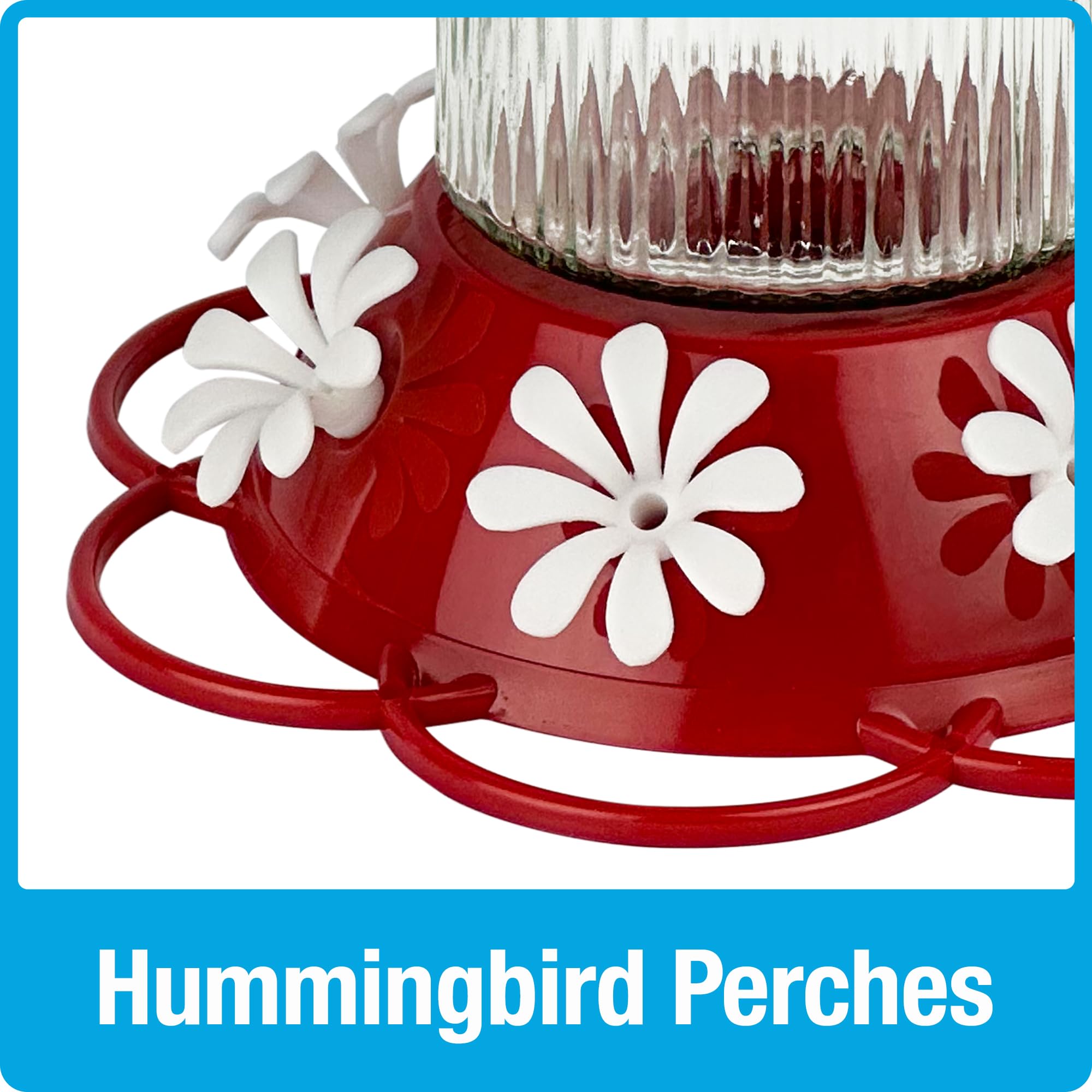 Natures Way Hanging Glass Hummingbird Feeder for Outdoor D  cor, 28 Ounce Capacity Nectar Feeder, Ant Moat, 7 Easy to Clean Fle