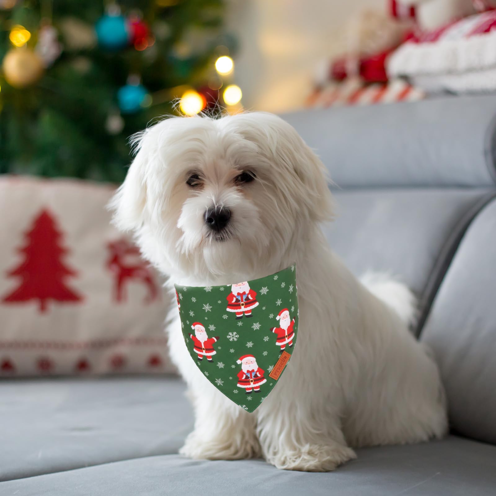 Ptdecor Christmas Dog Bandana, Xmas Hoho Santa Design Reversible Holiday Dog Scarf, Triangle Christmas Bandanas For Small Pets (