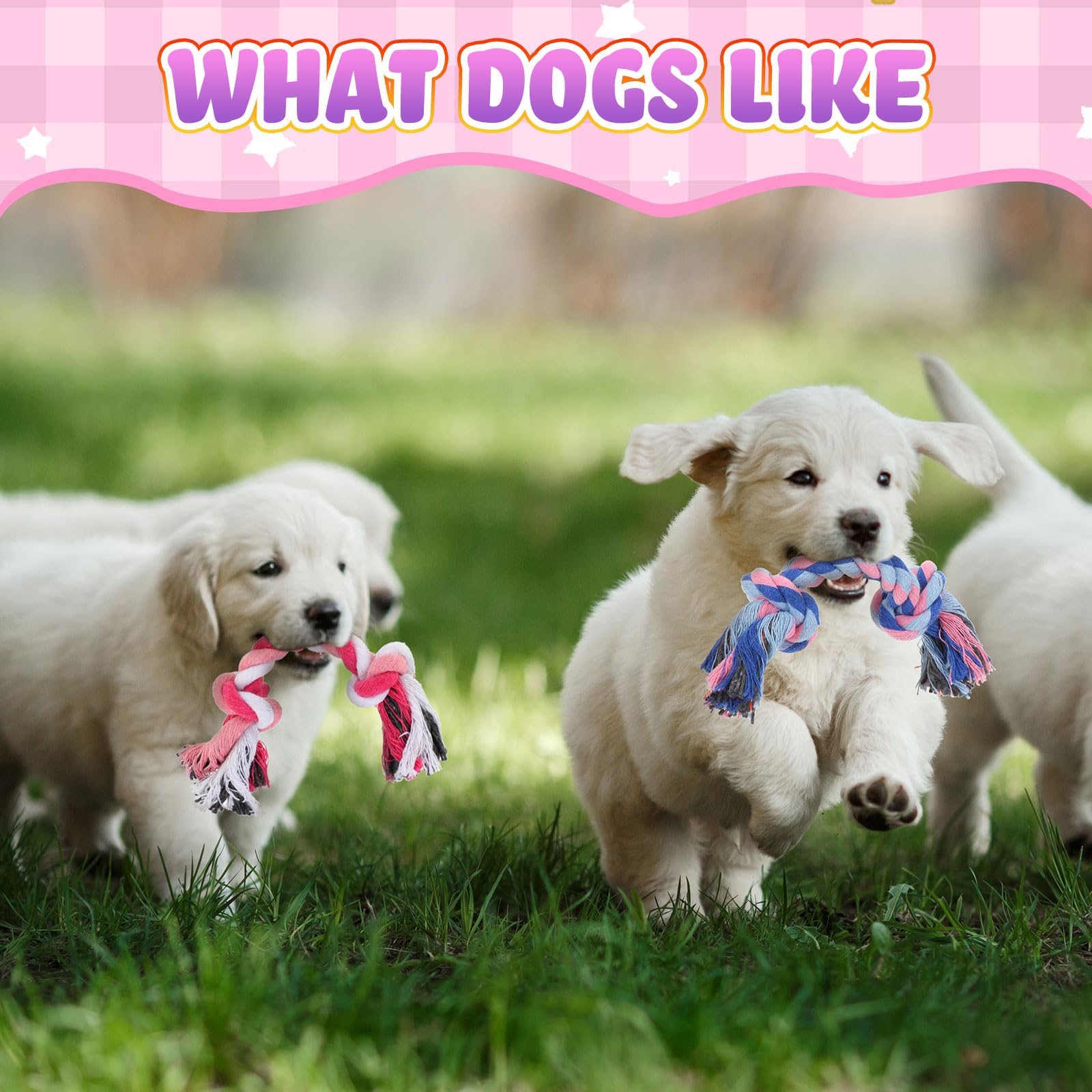 Paterr 12 Pcs Rope Dog Toys Multi Color Puppy Rope Toy Cotton Puppy Toys Dog Chew Puppy Teething Toys For Small And Medium Dogs