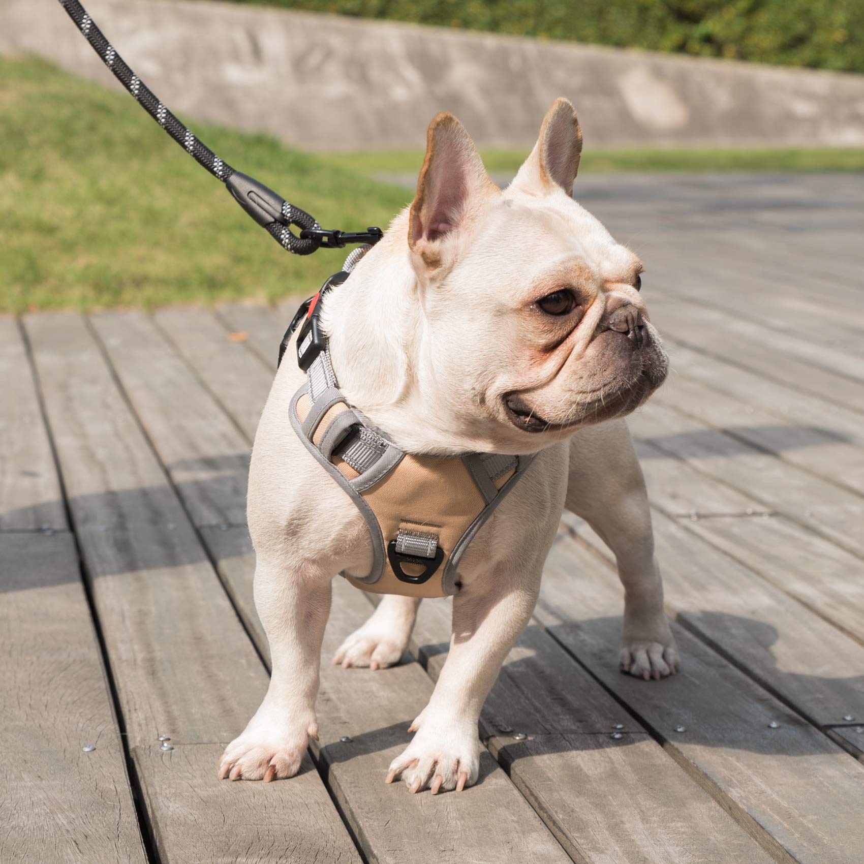 Coohom No Pull Dog Harness With Handle And Two Leash Attachments,Adjustable Outdoor Pet Harness With Reflective Oxford Material For Small Medium Large Dogs (M, Khaki 2022)