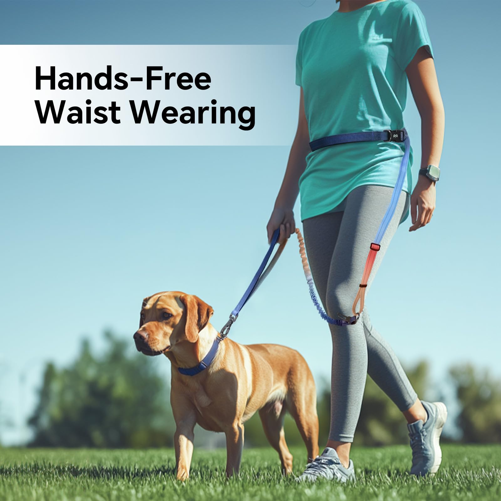 Qqpets Hands Free Dog Leash, Adjustable Waist Leash For Dog Walking, Versatile Crossbody Bungee Dog Running Leash With Car Seat