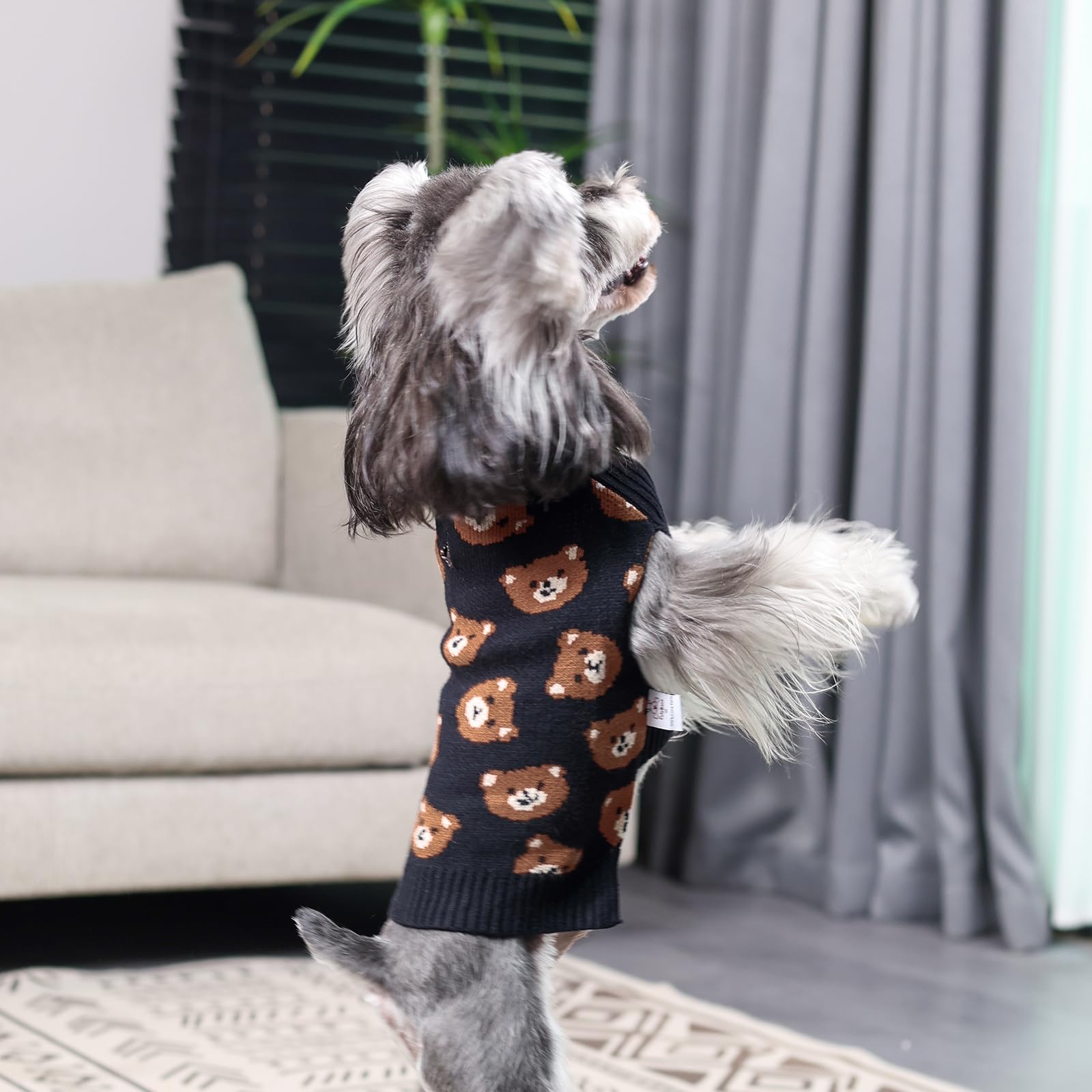Cutebone Cute Dog Sweater For Small & Medium Dogs, Bear Pattern Winter Pullover Dog Coat For Chihuahua Yorkie Ds97S