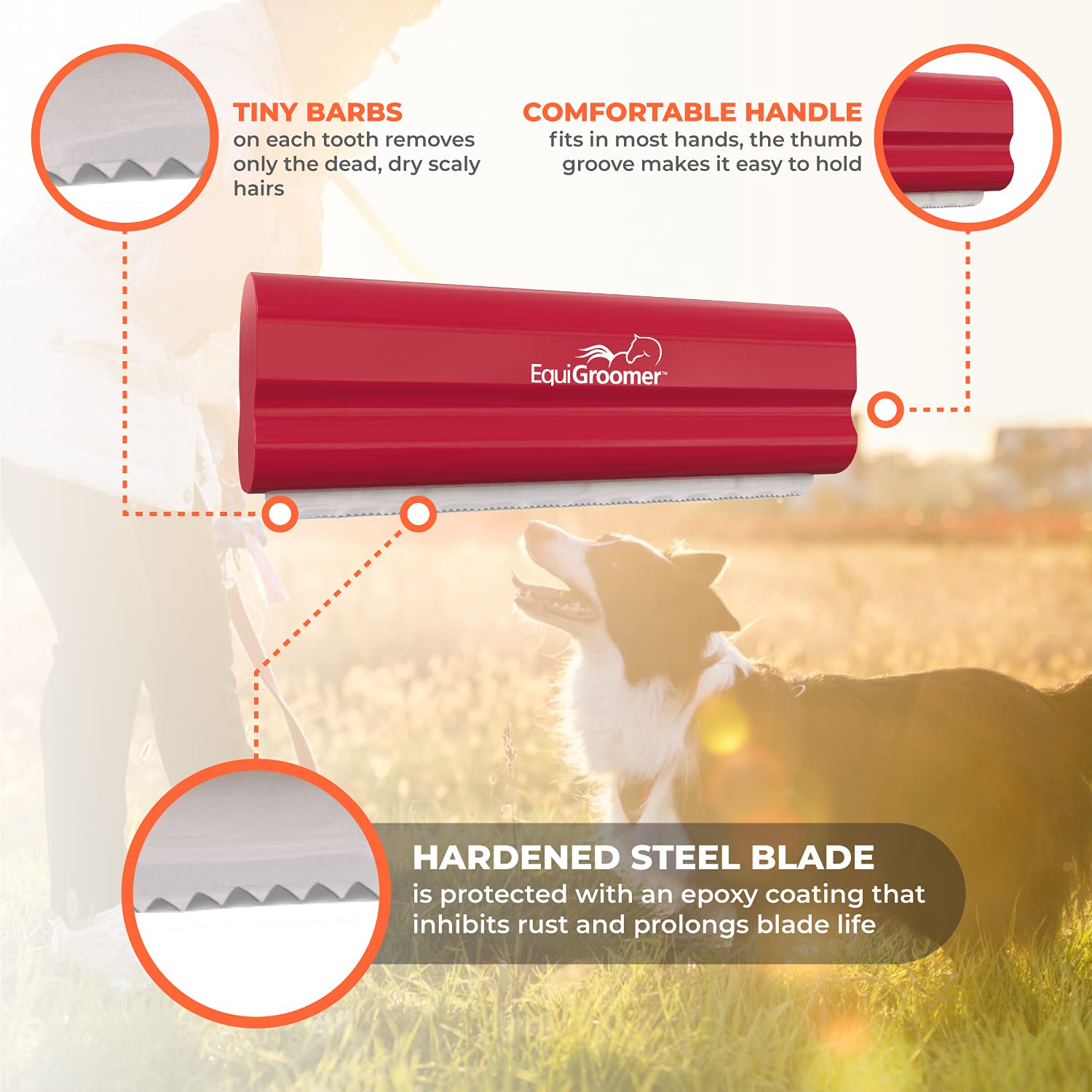 Easygroomer Deshedding Brush For Dogs Cats | Red | Undercoat Tool For Large And Small Pets | Comb Removes Loose Dirt, Hair And F