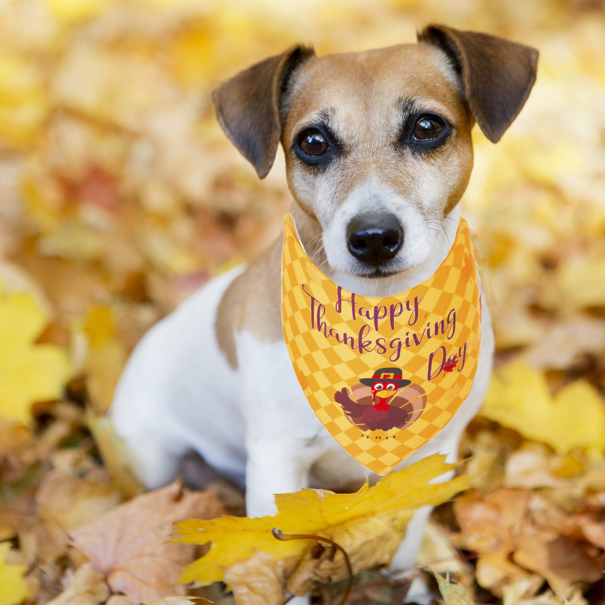 Adoggygo Thanksgiving Dog Bandana Fall Autumn Pet Bandana Reversible Triangle Bibs Scarf Accessories For Small Dogs Pets (Small,