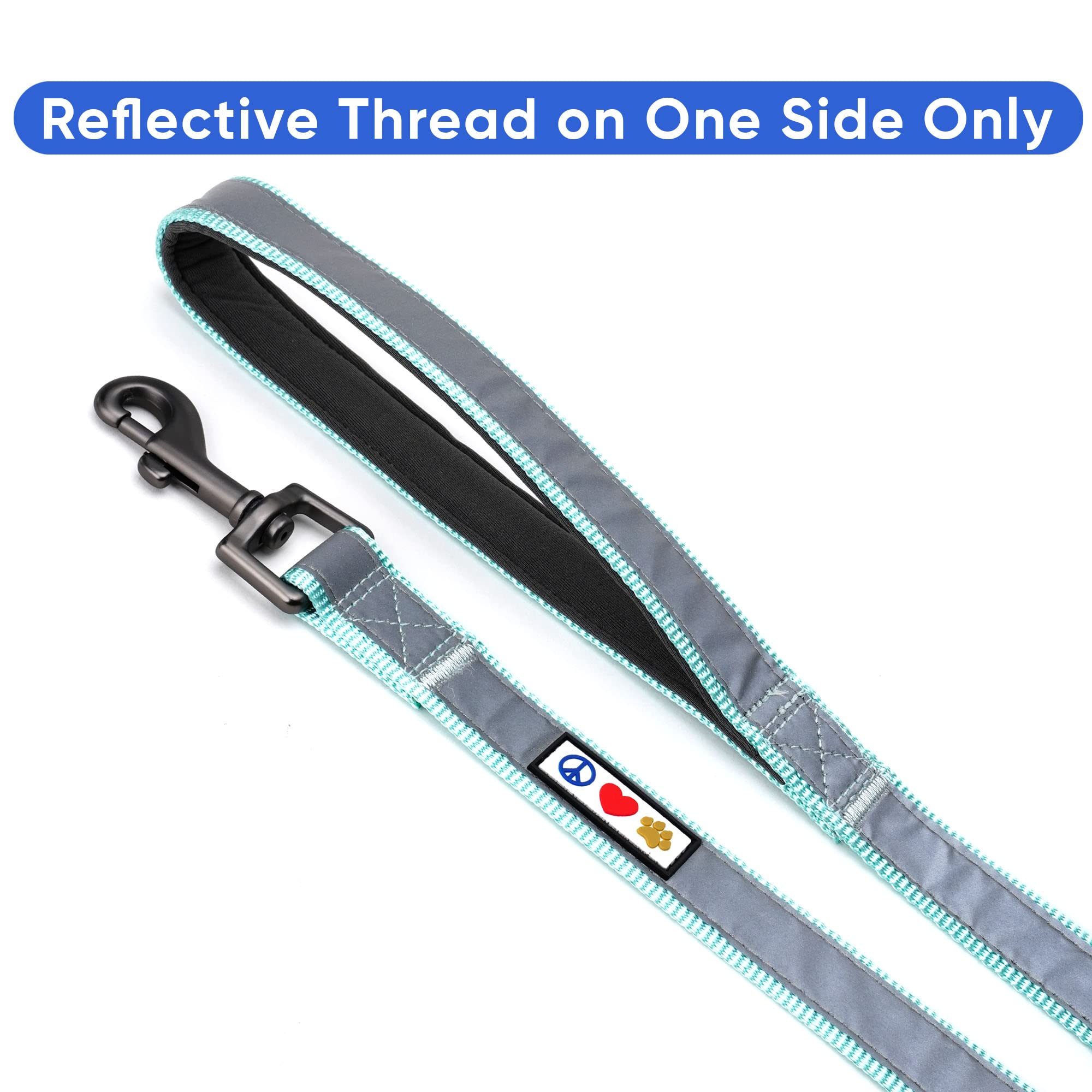 Pawtitas 6 FT Padded Dog Leash with Comfortable Neoprene Padding Handle - Teal Lead | Medium Reflective Dog Leash with Highly Re