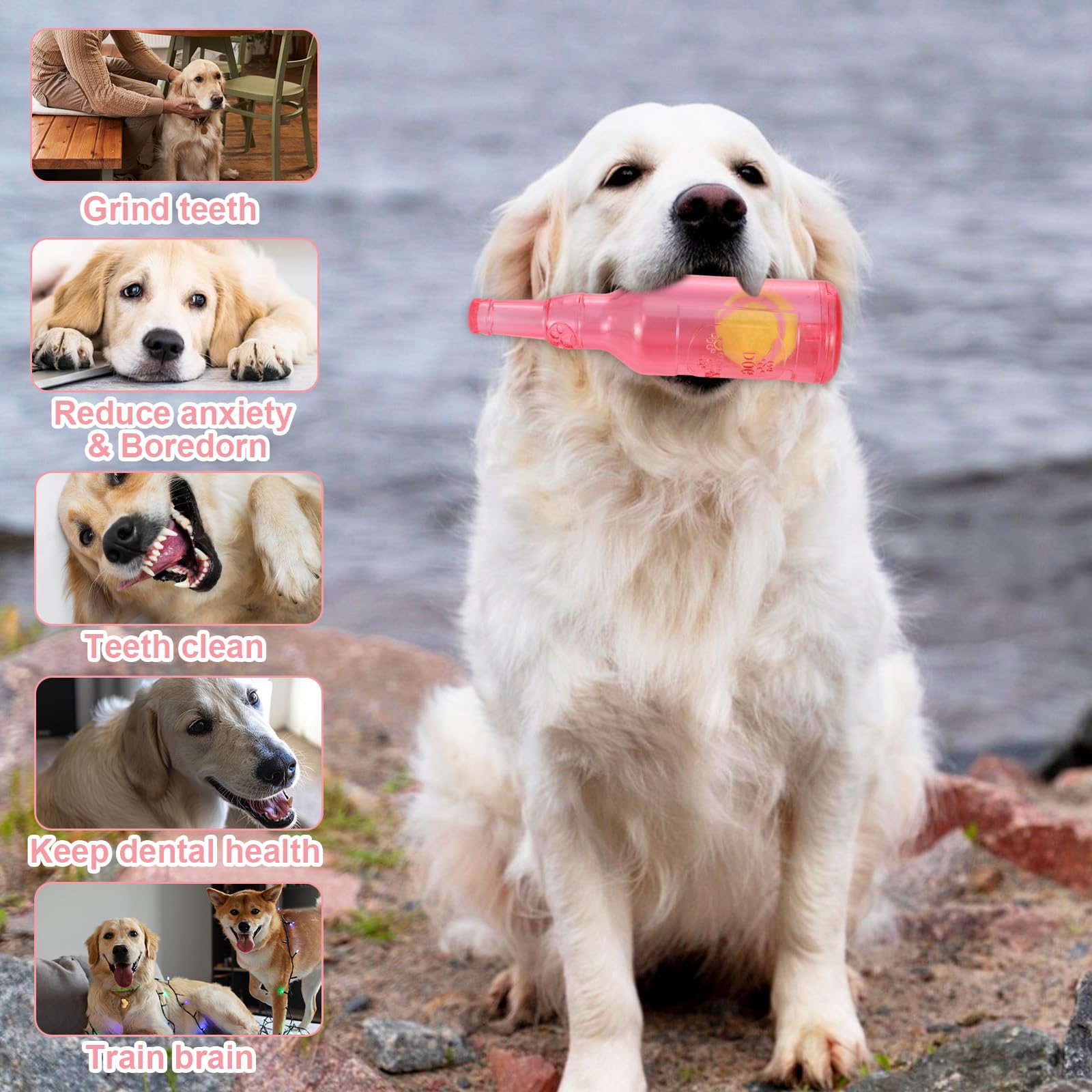 Water Bottle Dog Toy,Crunchnplay Bottle Toy For Dogs,Floating Dog Chew Toys,Squeaky Dog Toys For Aggressive Chewers,Dog Toy Wate