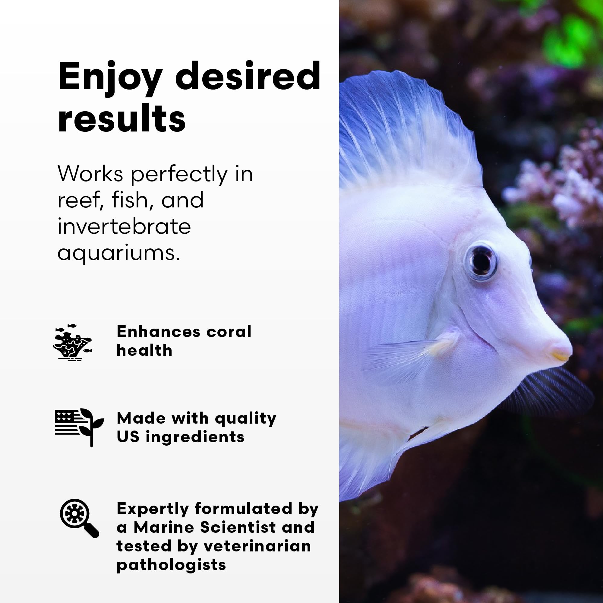 Brightwell Aquatics Reef BioFuel - Organic Carbon Supplement for Marine and Reef Aquariums, Aiding Bacterioplankton Growth That