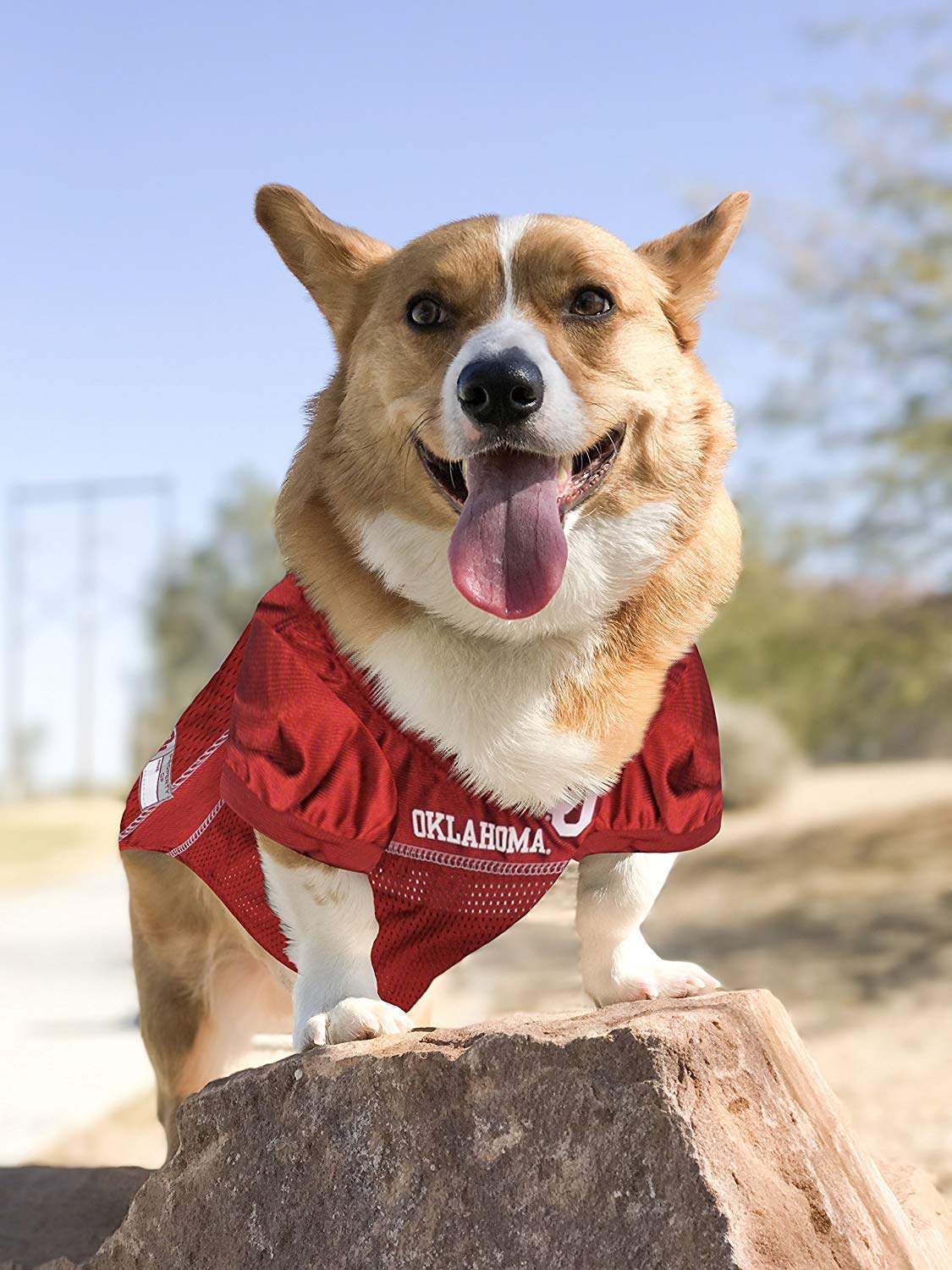 Pets First NCAA College Oklahoma Sooners Mesh Jersey for DOGS & CATS, Small.Licensed Dog Jersey with your Favorite Football/Bask