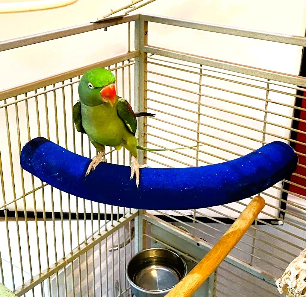 Polly's Cozy Corner X-Large Bird Perch, Blue Plastic, Model 50984