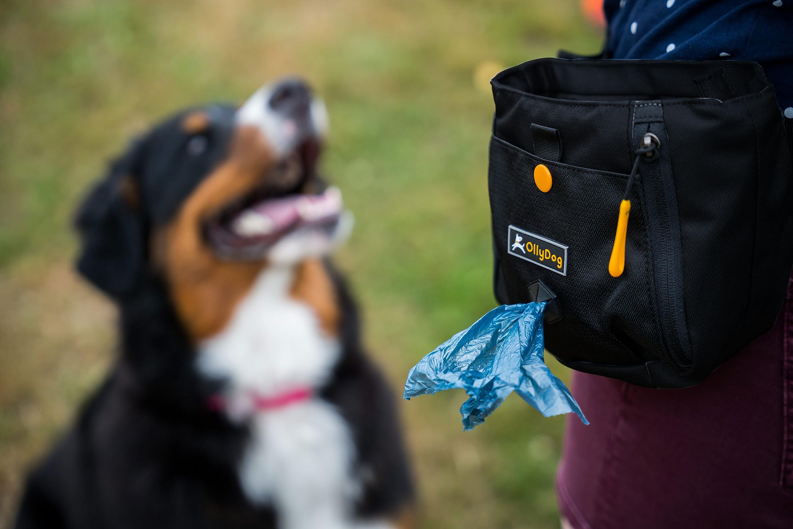 OllyDog Backcountry Day Bag Fanny Pack, Dog Treat Pouch, Polyester, One Size, Raven, Model 1050-1100-102