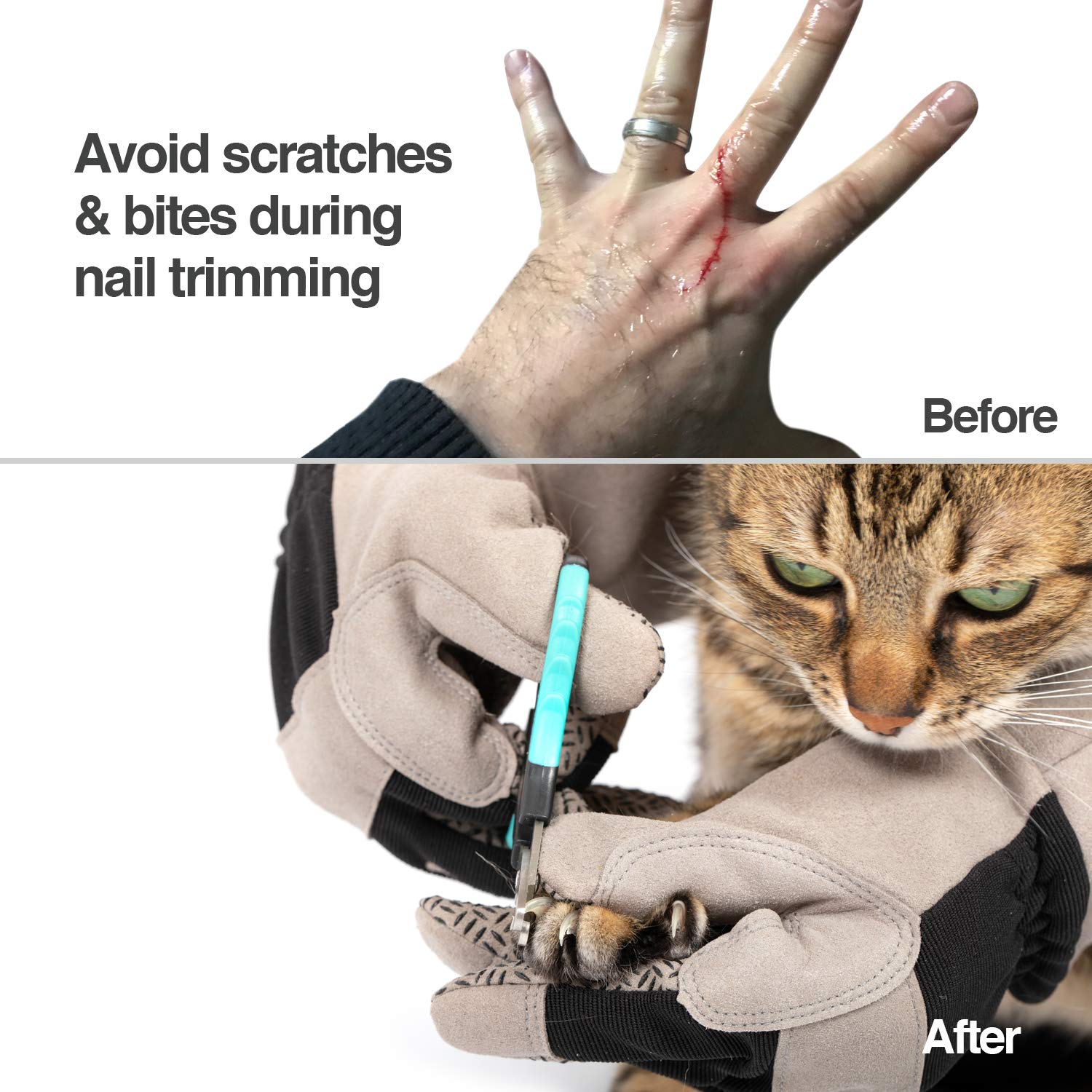 PetFusion Multipurpose Pet Glove - Puncture & Scratch Resistant, Water Resistant, Grey, Large (PF-HG1A)
