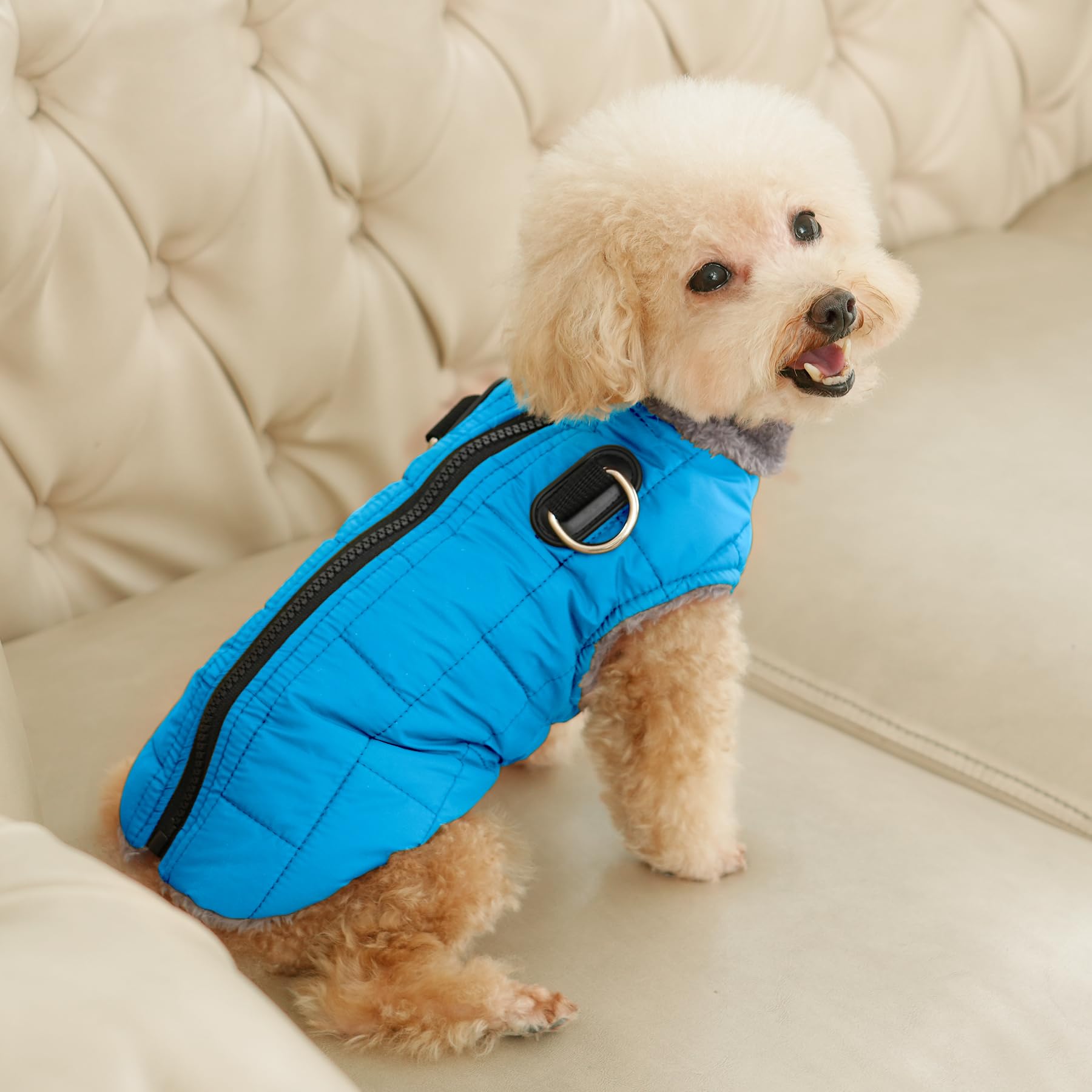 JoyDaog Warm Fleece Dog Coat with Built-in Harness, Waterproof, X-Large, Light Blue