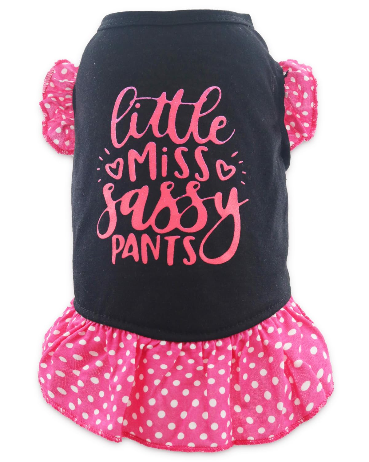 Cute Dresses For Girl Dogs Small Dog Dress Cat Female Summer Clothes Girls With Little Miss Sassy Pants Print, Large