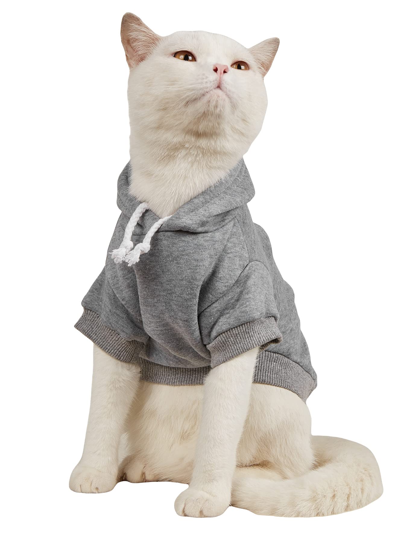 Qwinee Basic Dog Hoodie, Dog Warm Jacket, Cat Apparel, Dog Shirt, Dog Clothes For Puppy Kitten Small Medium Dogs Cats Light Grey Medium