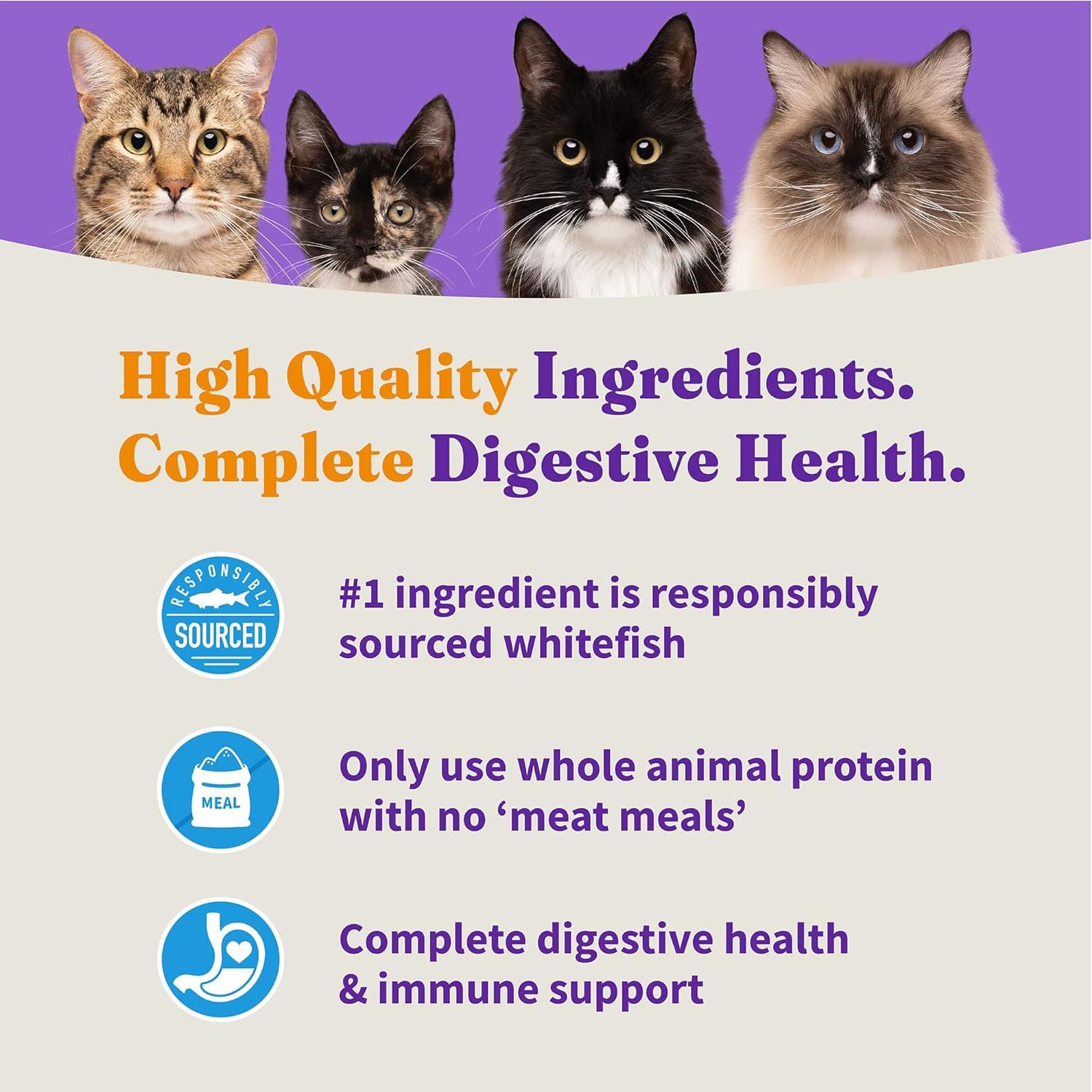 Halo Holistic Cat Food Wild Caught Salmon & Whitefish Formula, Healthy Grains Dry Cat Food, For Sensitive Stomach Support, Kibbl