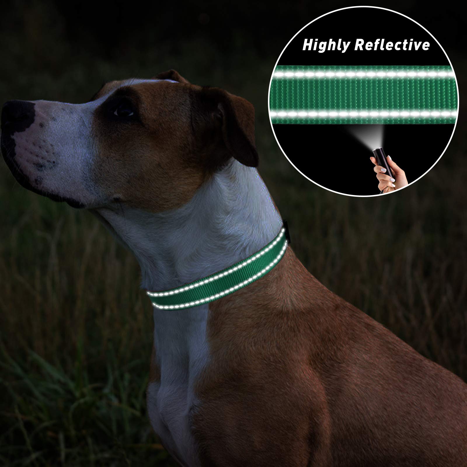Tagme Reflective Nylon Dog Collars, Adjustable Classic Dog Collar With Quick Release Buckle For Small Dogs, Turquoise, 5/8' Width