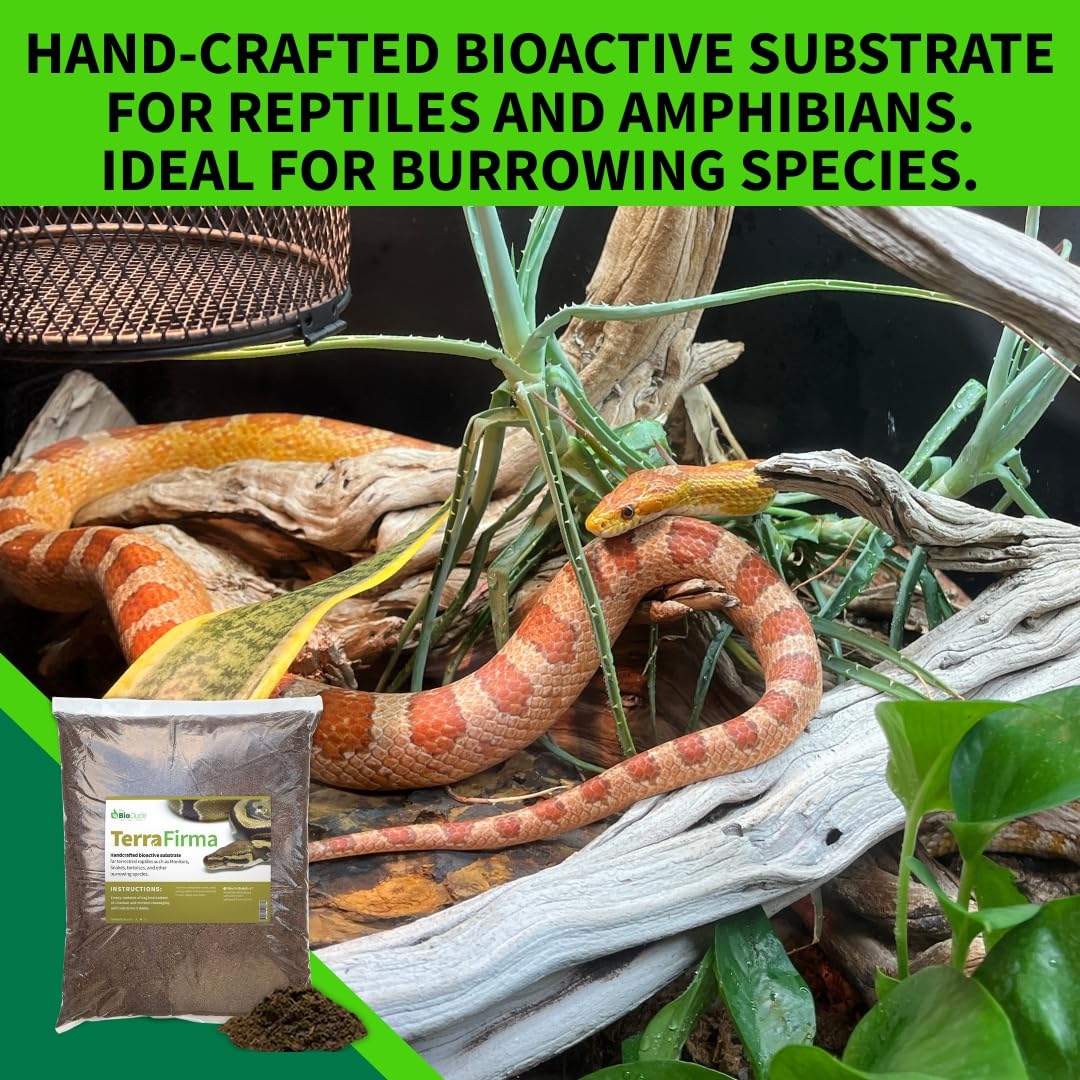 The Bio Dude Terra Firma Reptile Substrate 36 Quarts For Terrariums And Vivariums. Bioactive Habitat Substrate For Ball Pythons,
