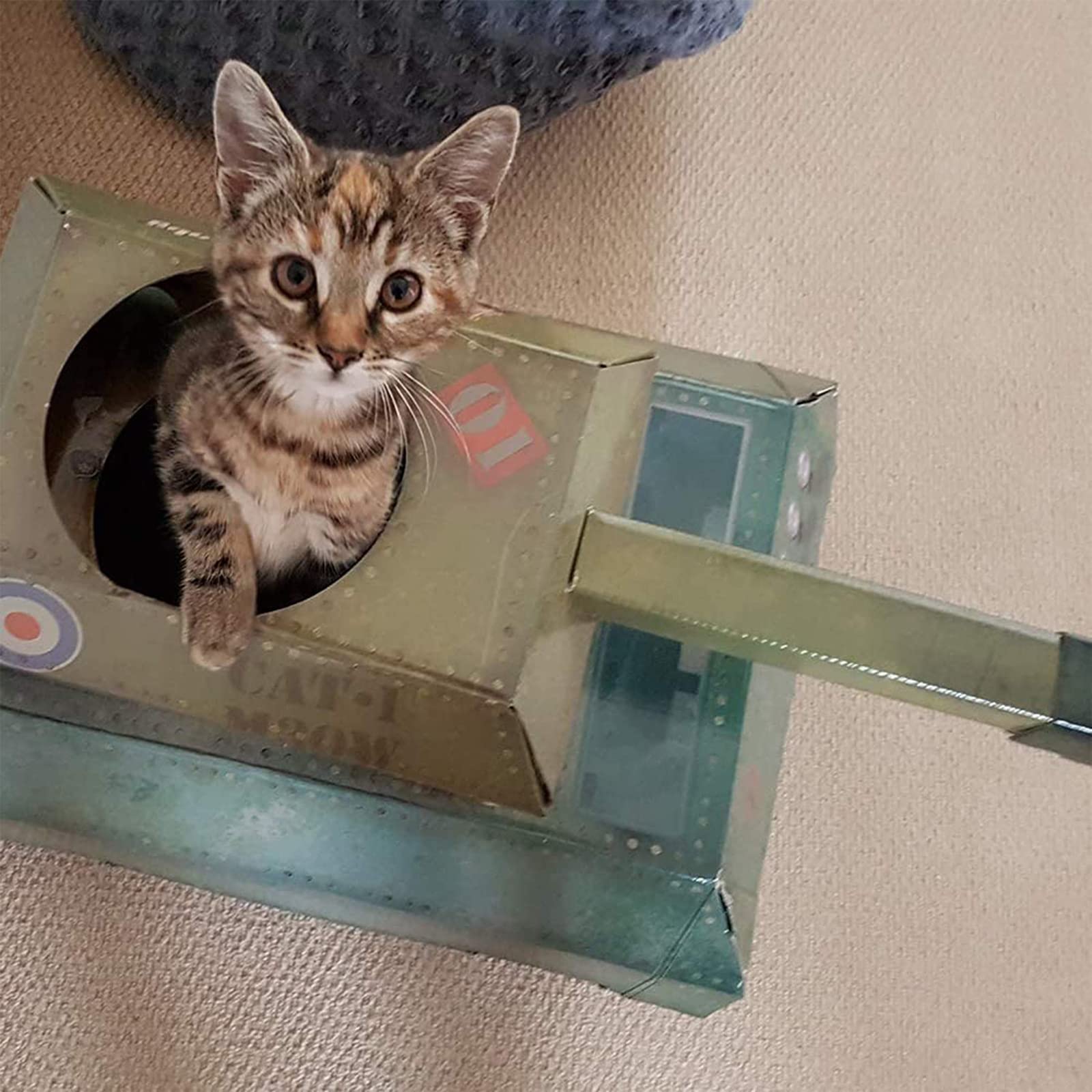 Suck Uk | Tank Cat House | Cardboard Kitten Toys & Cat Bed | Interactive Cats Toy For Kittens & Cats | Novelty Kitten Accessorie