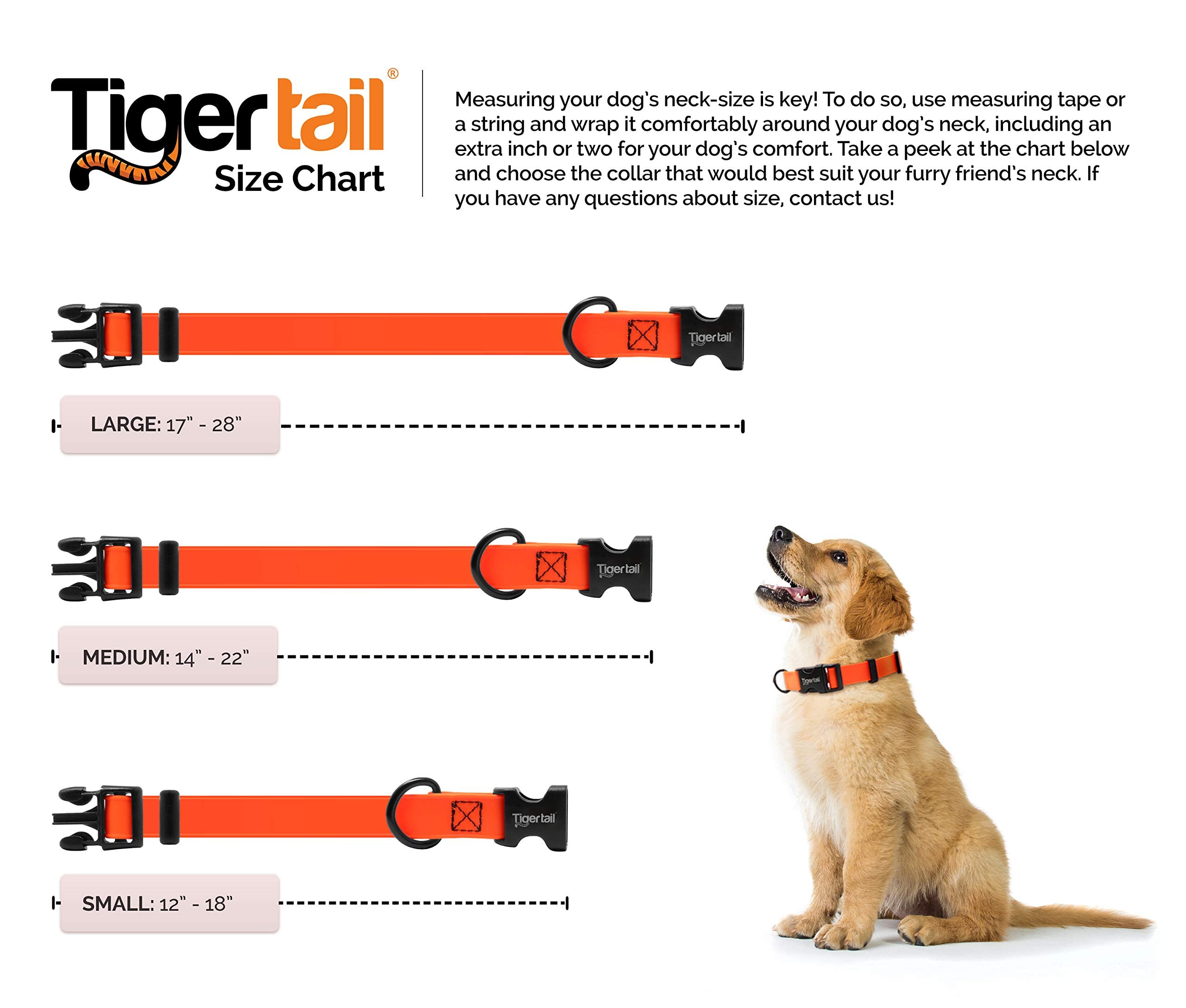 Tiger Tail Urban Nomad Dog Collar - Waterproof, Durable, Odor Proof, Medium, Black, Premium Coated Nylon