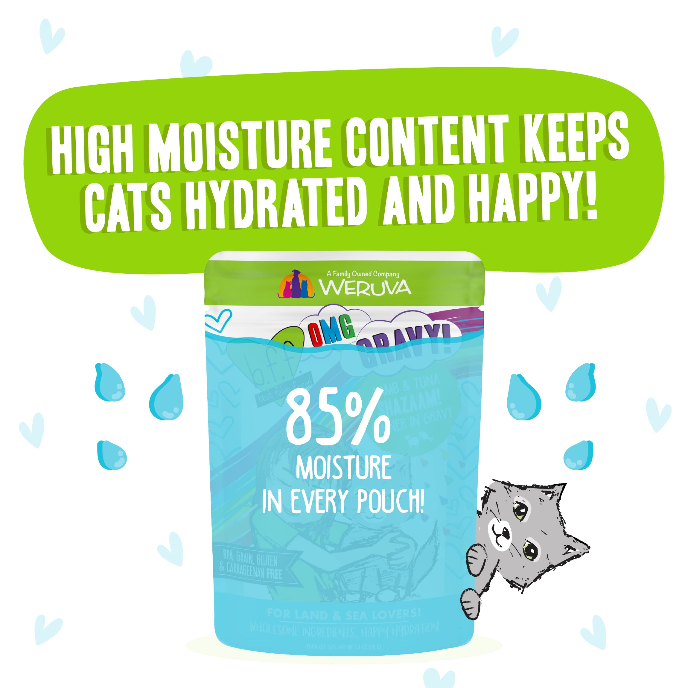 Weruva B.F.F. OMG - Best Feline Friend Oh My Gravy!, Shazaam! with Lamb & Tuna in Gravy Cat Food, 2.8oz Pouch (Pack of 12)