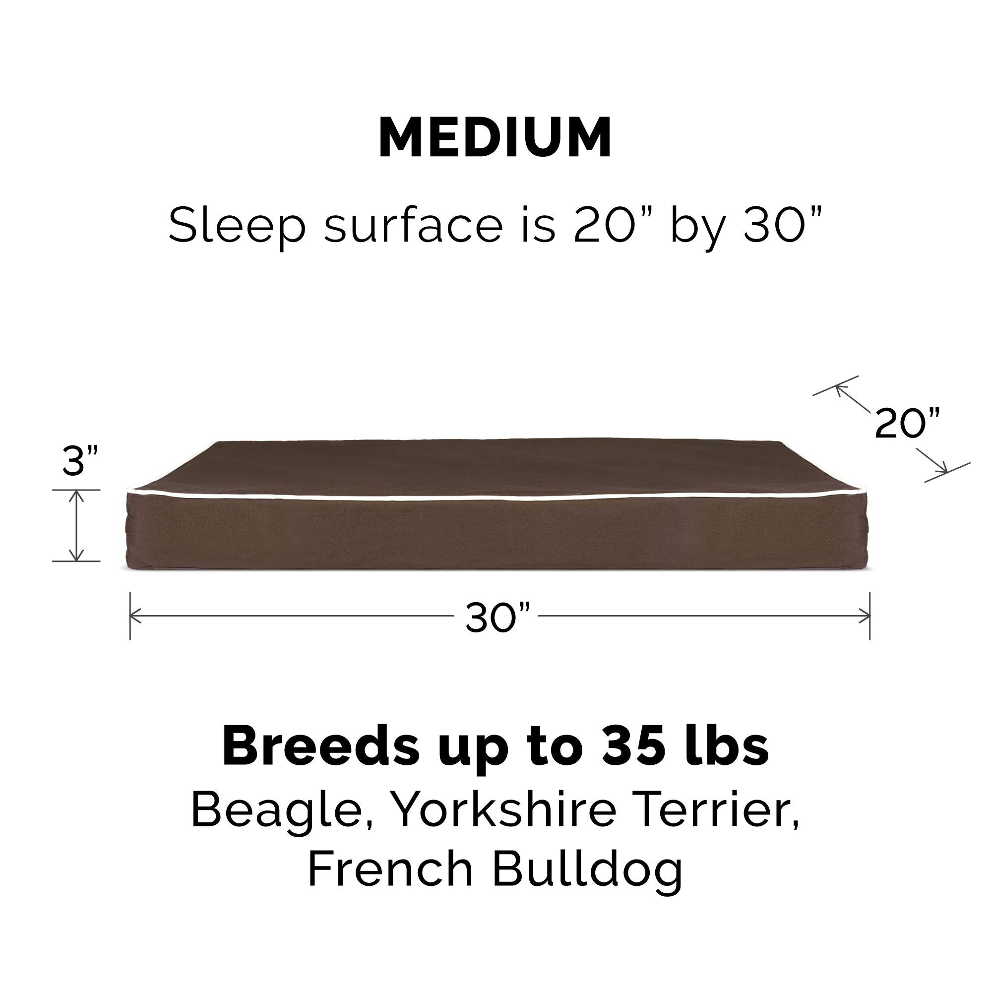 Furhaven Water-Resistant Memory Foam Dog Bed for Medium/Small Dogs w/ Removable Washable Cover, For Dogs Up to 35 lbs - Indoor/O