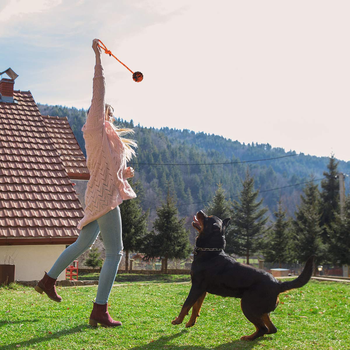Nevperish K9 Training Ball With Rope Exercise And Reward Toy For Dogs - Indestructible Dog Toy Ball With Handle For Training Pul