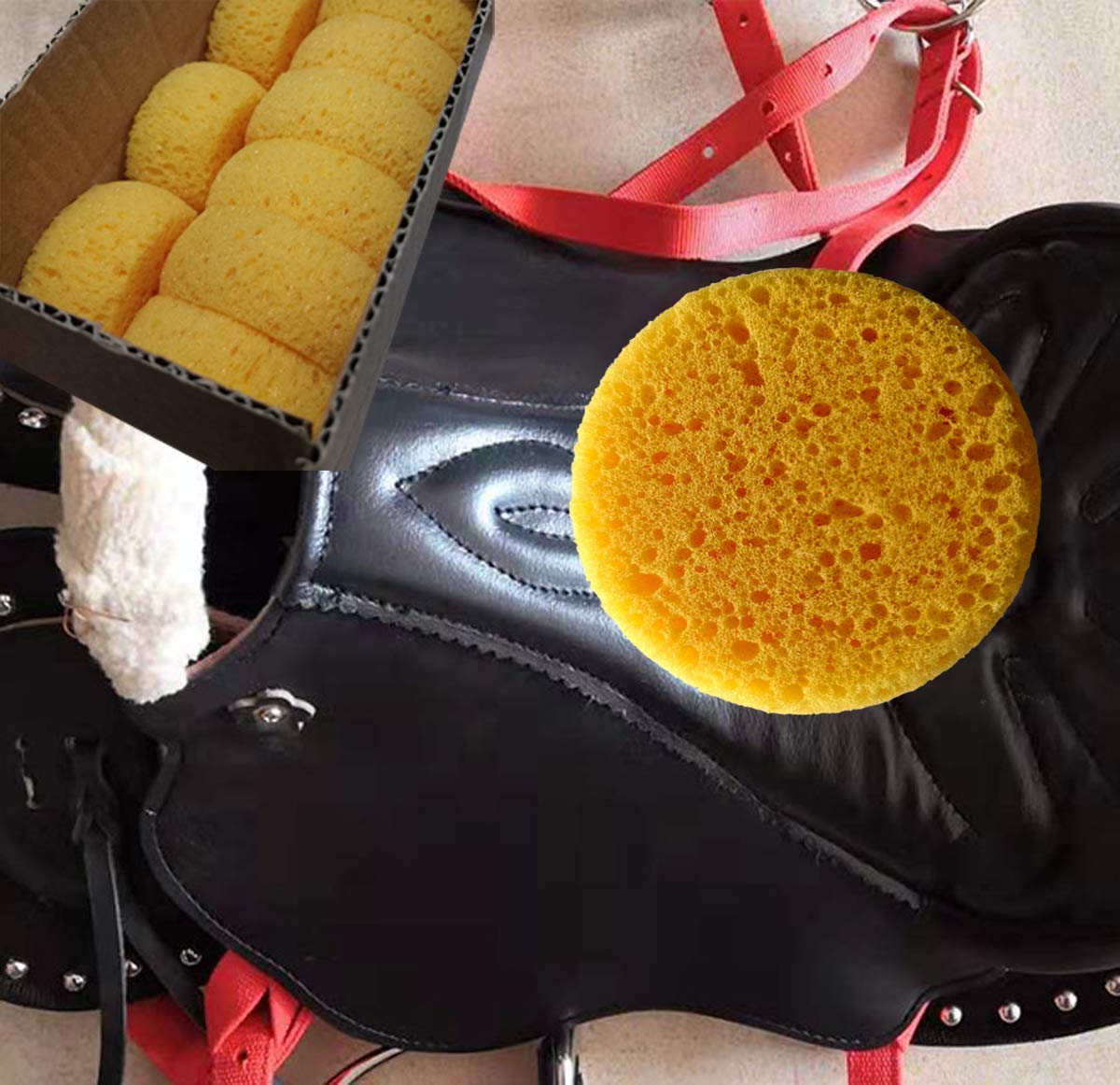 Xilaotou A Box Of 12 Tack Sponges (Coarse Holes)