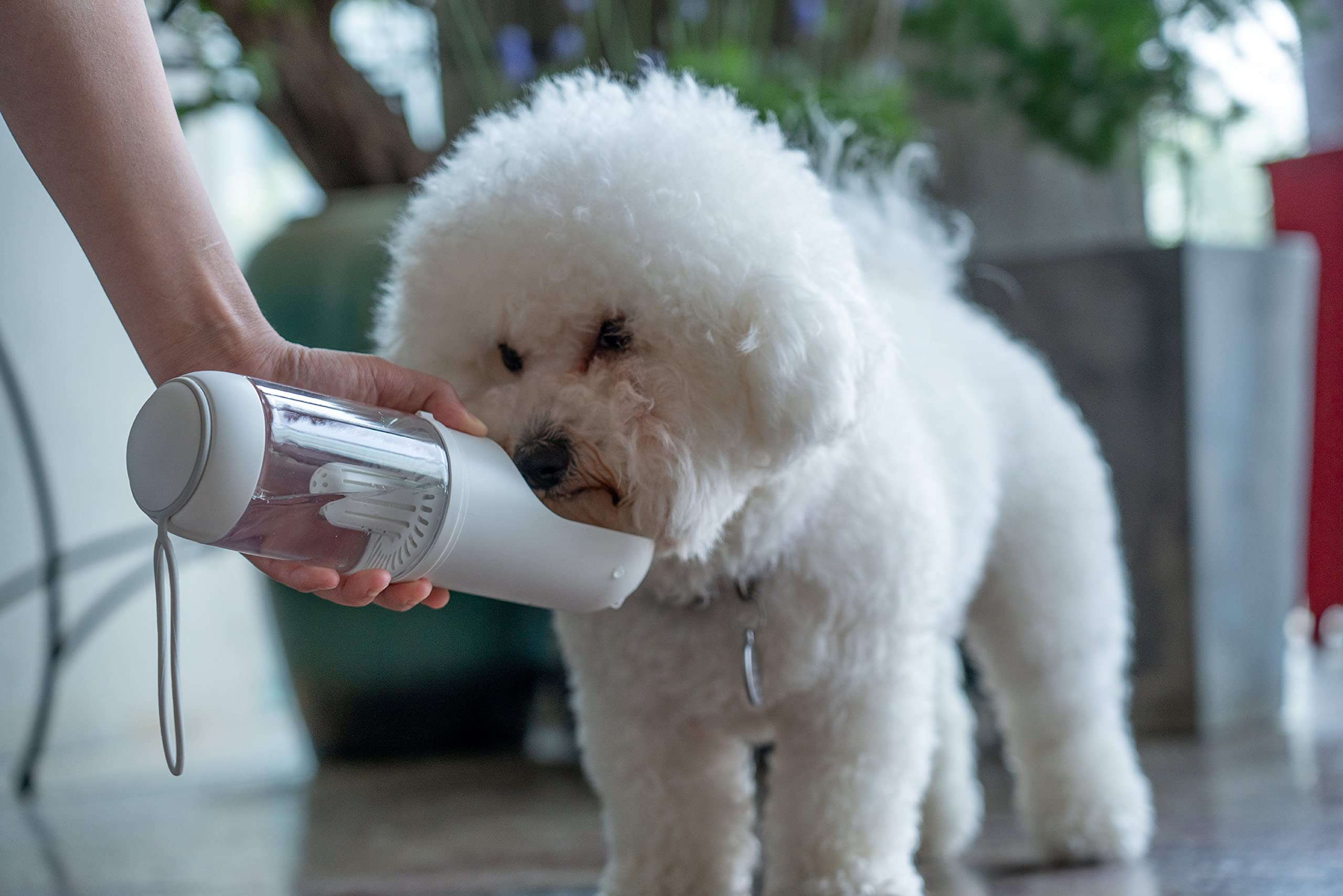 Pet Life  'PYURE' Handheld Travel Filtered Water Feeder
