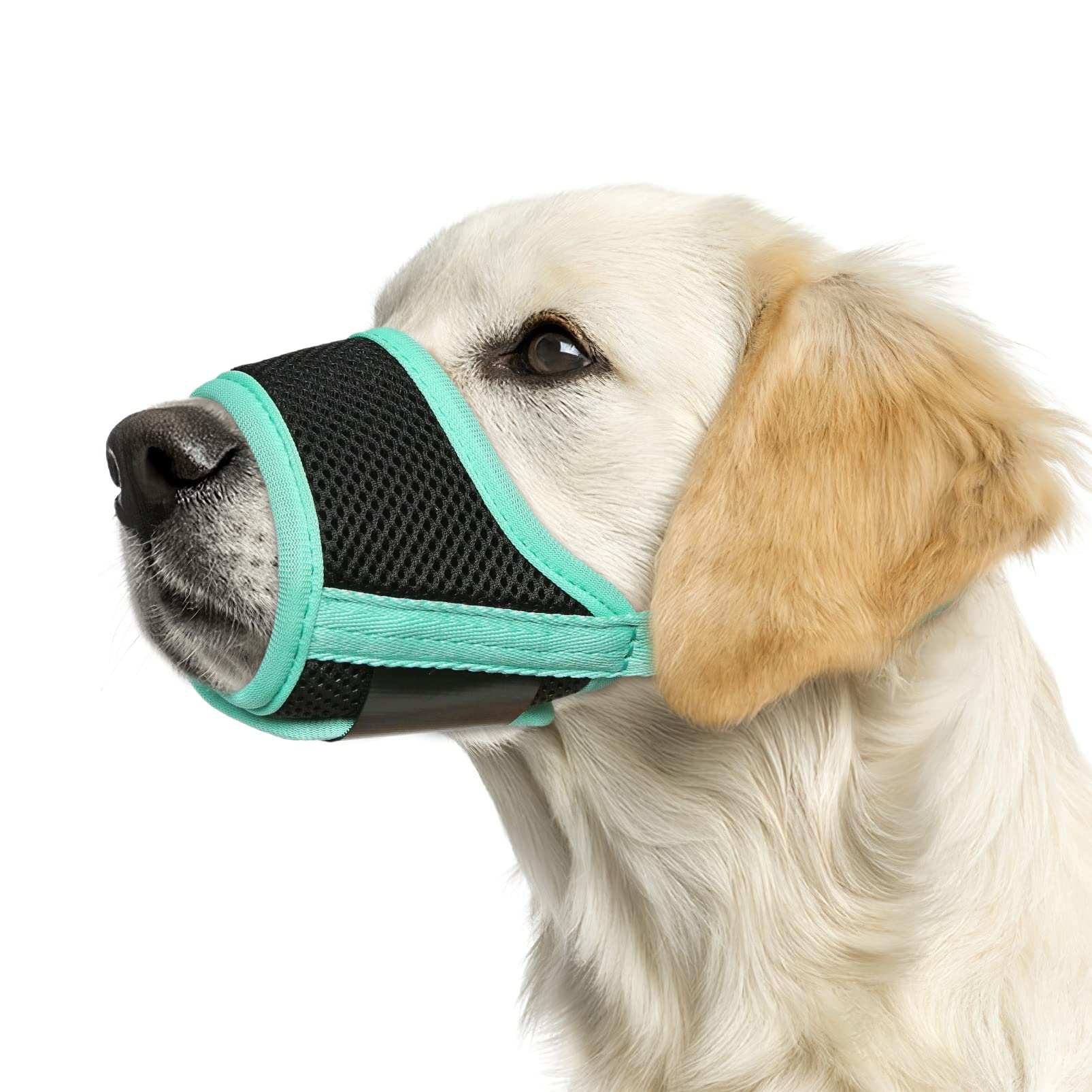 Heele Dog Muzzle, Soft Mesh Breathable Muzzle With Adjustable Straps For Small Medium Large Dogs, Prevent Biting, Licking And Chewing, Allow Drinking Panting Green X-Small