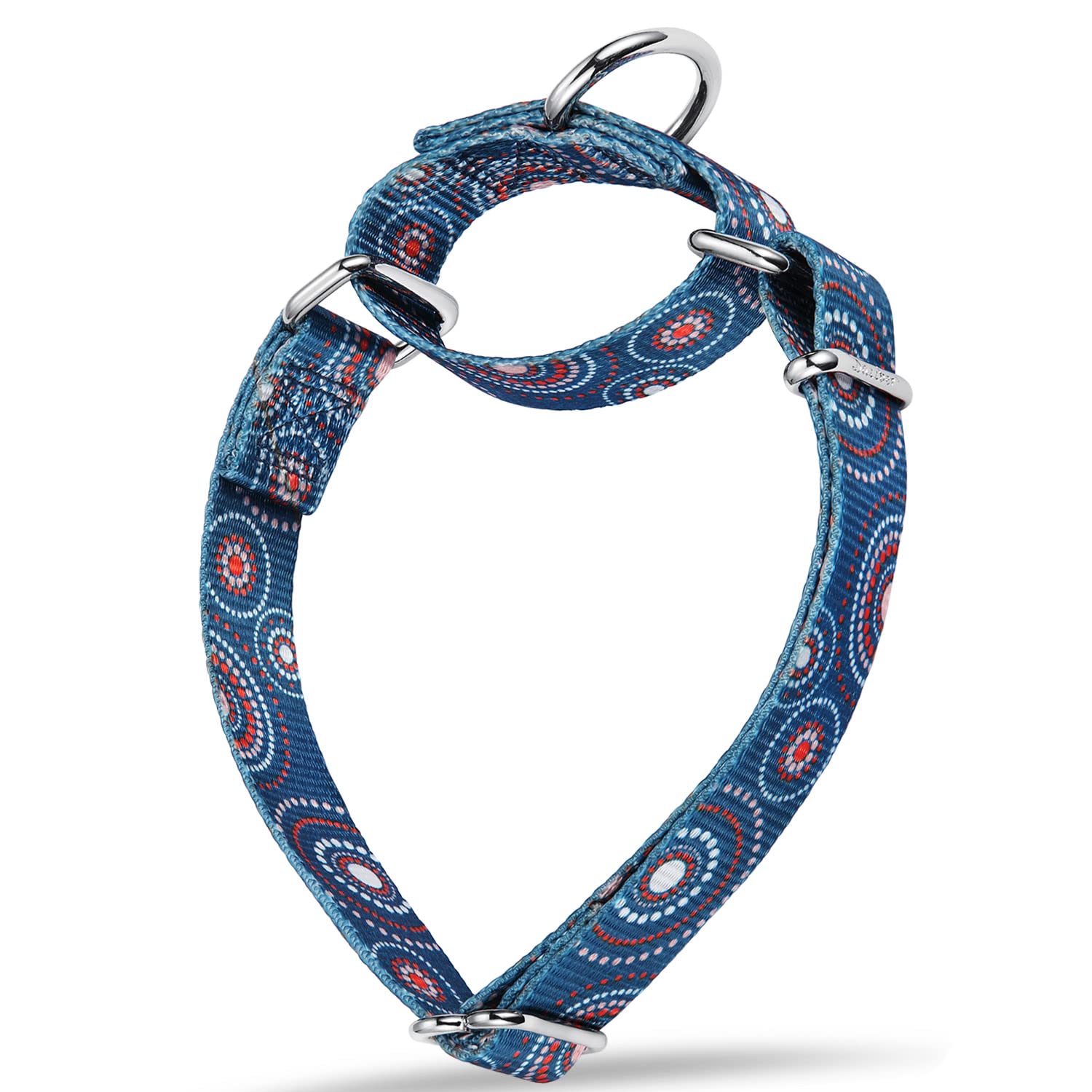 Dazzber Martingale Dog Collar, Puppy Dog Collar -, No Pull, Heavy Duty, Adjustable, Extra Small, Neck 8-11 Inch, Firework Dots-I