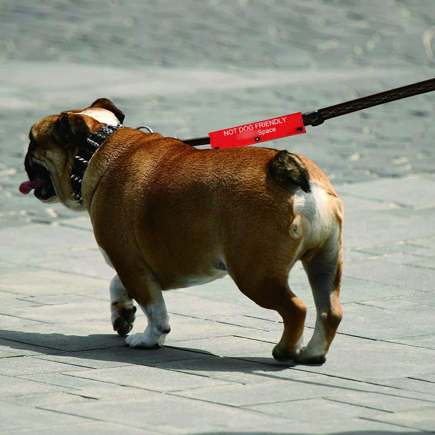 Funny Dog Leash Sleeve Not Dog Friendly Space Dog Leash Wrap Alert Hanging Id Patch Tag Pet Birthday Gift(Friendly Space-Sleeve)