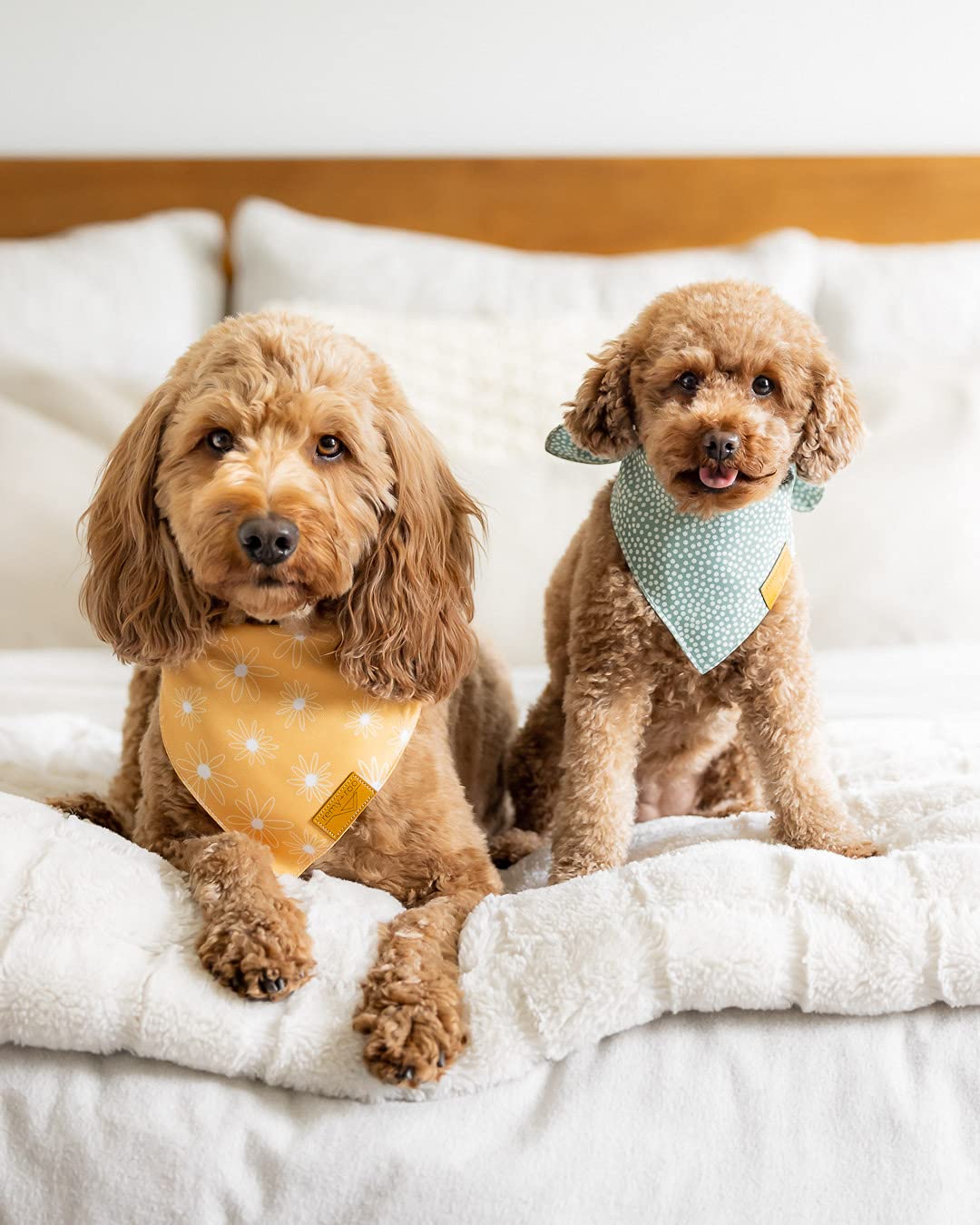 Remy+Roo Small Spring Dog Bandanas - 4 Pack Katherine Set | Premium Durable Adjustable Polyester Fabric Dog Scarfs | Patented Sh