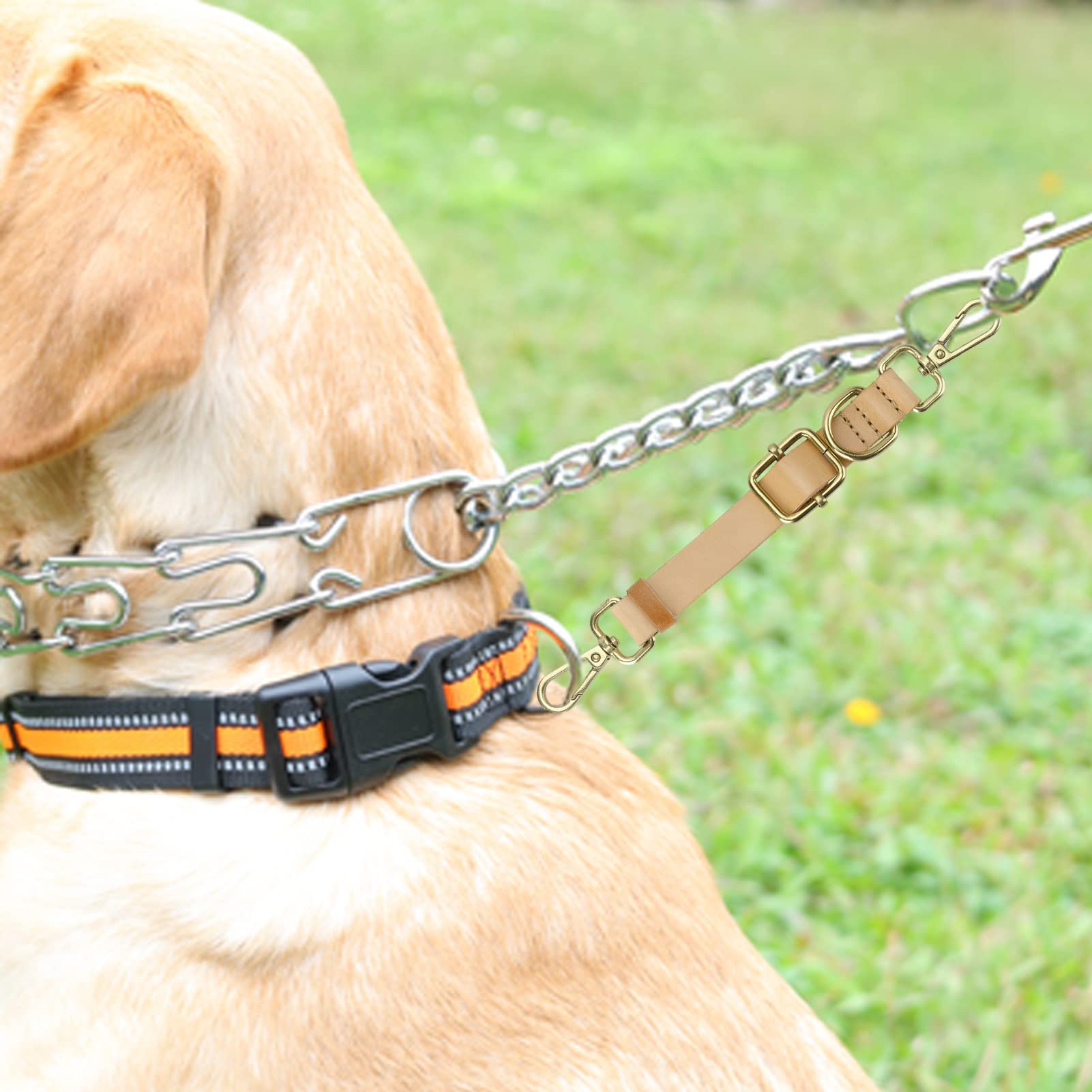 Jipimon Chain Dog Collar Adjustable Choke Collar Dog Training Collar For Small Medium Large Dogs (1)