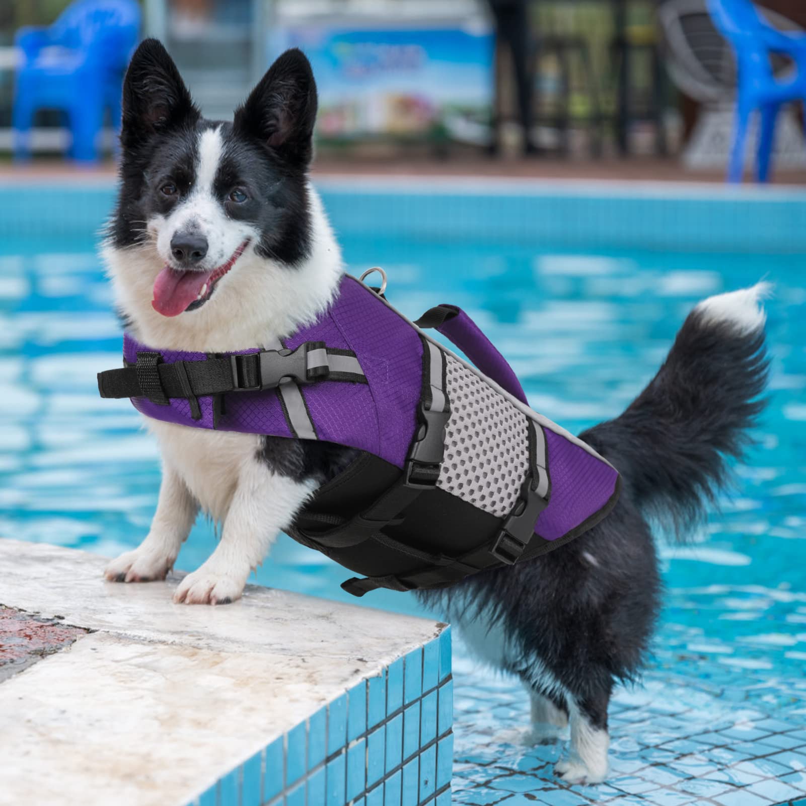 Dog Life Jacket Swimming Vest Lightweight High Reflective Pet Lifesaver With Lift Handle, Leash Ring Purple,S